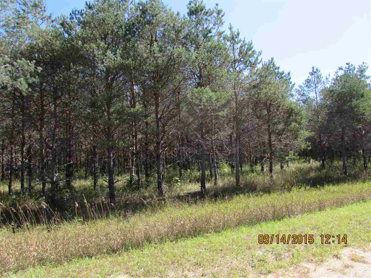 Photo 3 of Land for sale at 411 Kleehammer Clb Dr, Kalkaska, MI 49646 | MLS# 78080073779 | Listing updated on 2026-09-24