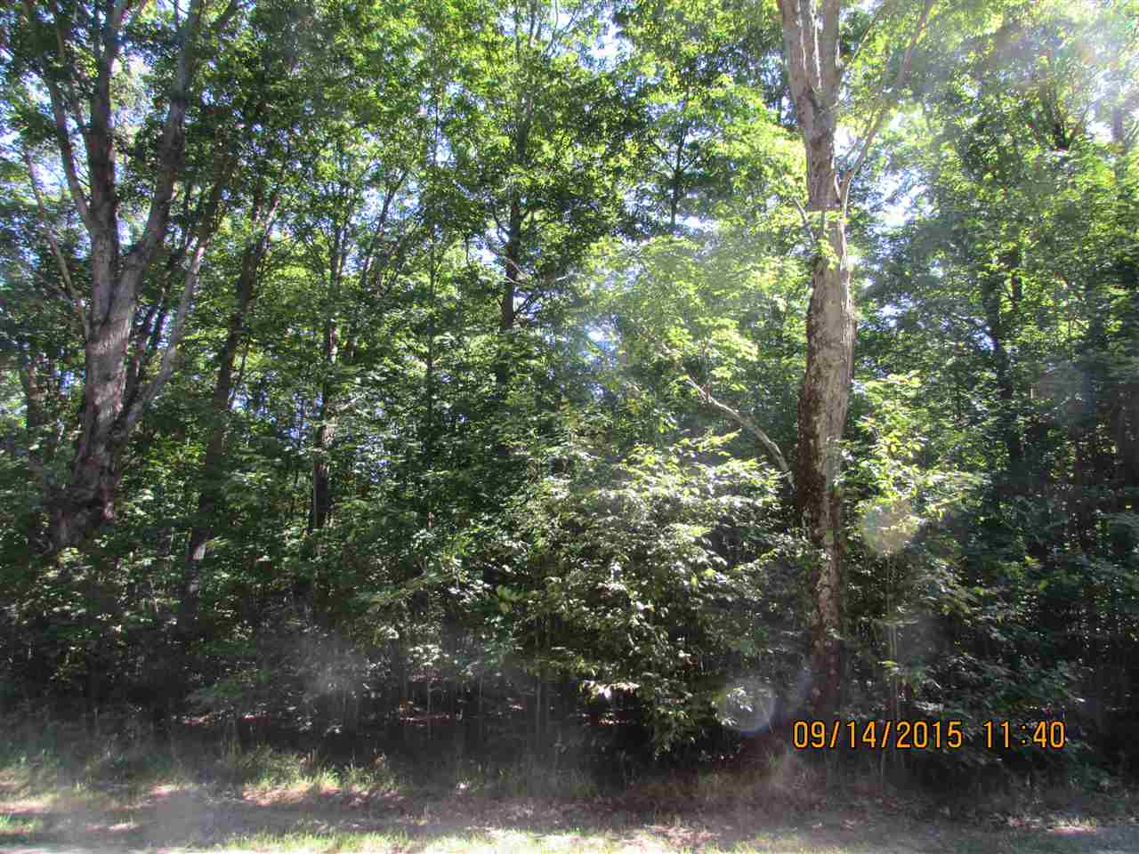 Photo 3 of Land for sale at 120 Kleehammer Clb Dr, Kalkaska, MI 49646 | MLS# 78080073782 | Listing updated on 2026-09-24