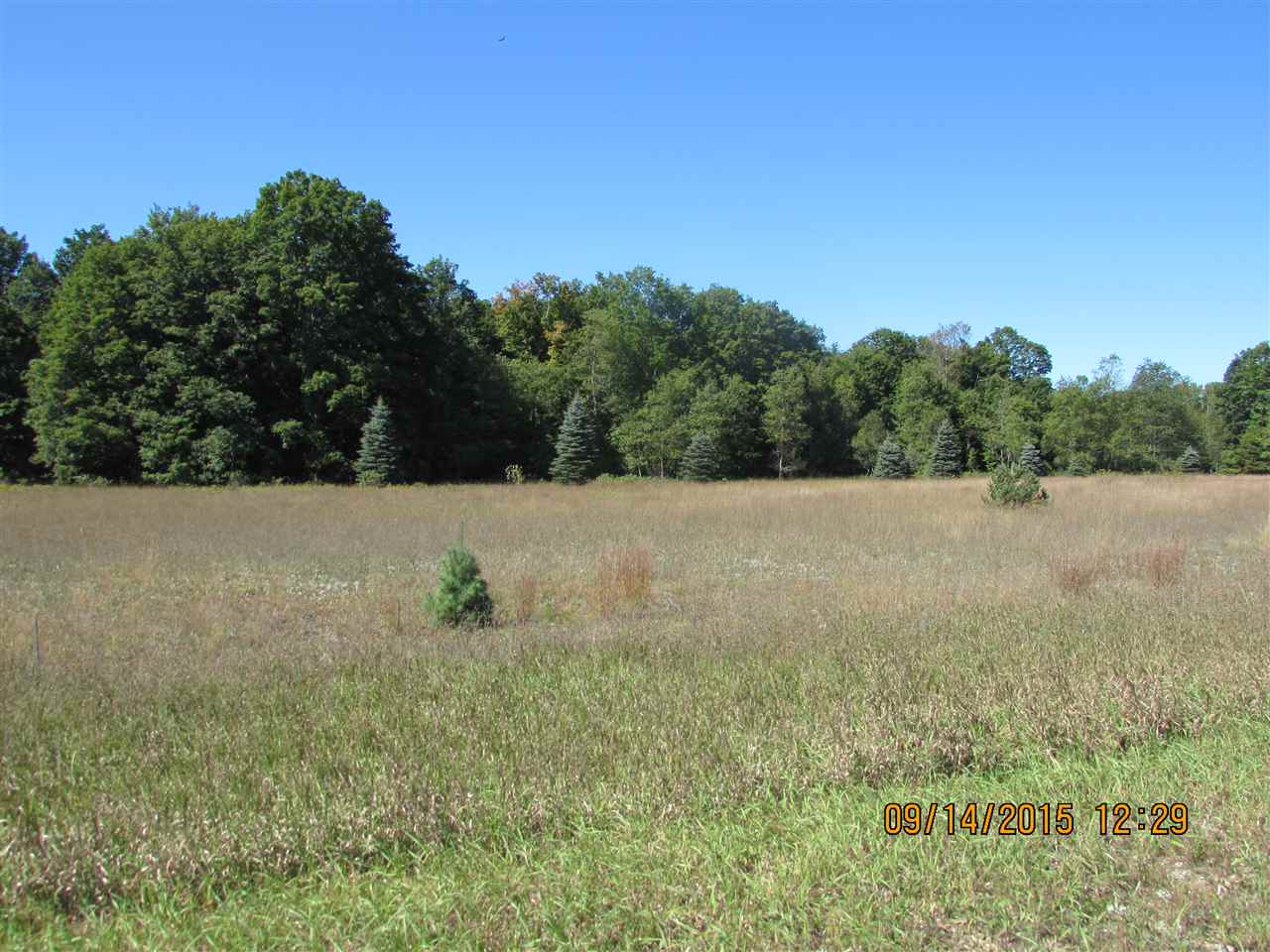 Photo 3 of Land for sale at 241 Kyle Dr, Excelsior Township Kalkaska, MI 49646 | MLS# 78080073783 | Listing updated on 2026-09-24