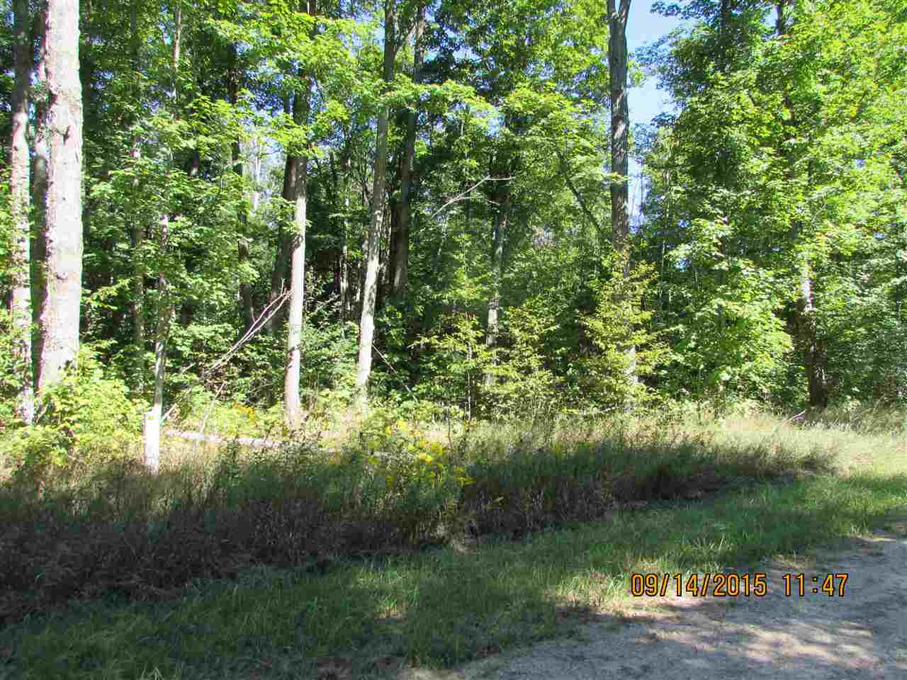 Photo 3 of Land for sale at 231 Kleehammer Clb Dr, Kalkaska, MI 49646 | MLS# 78080073786 | Listing updated on 2026-09-24