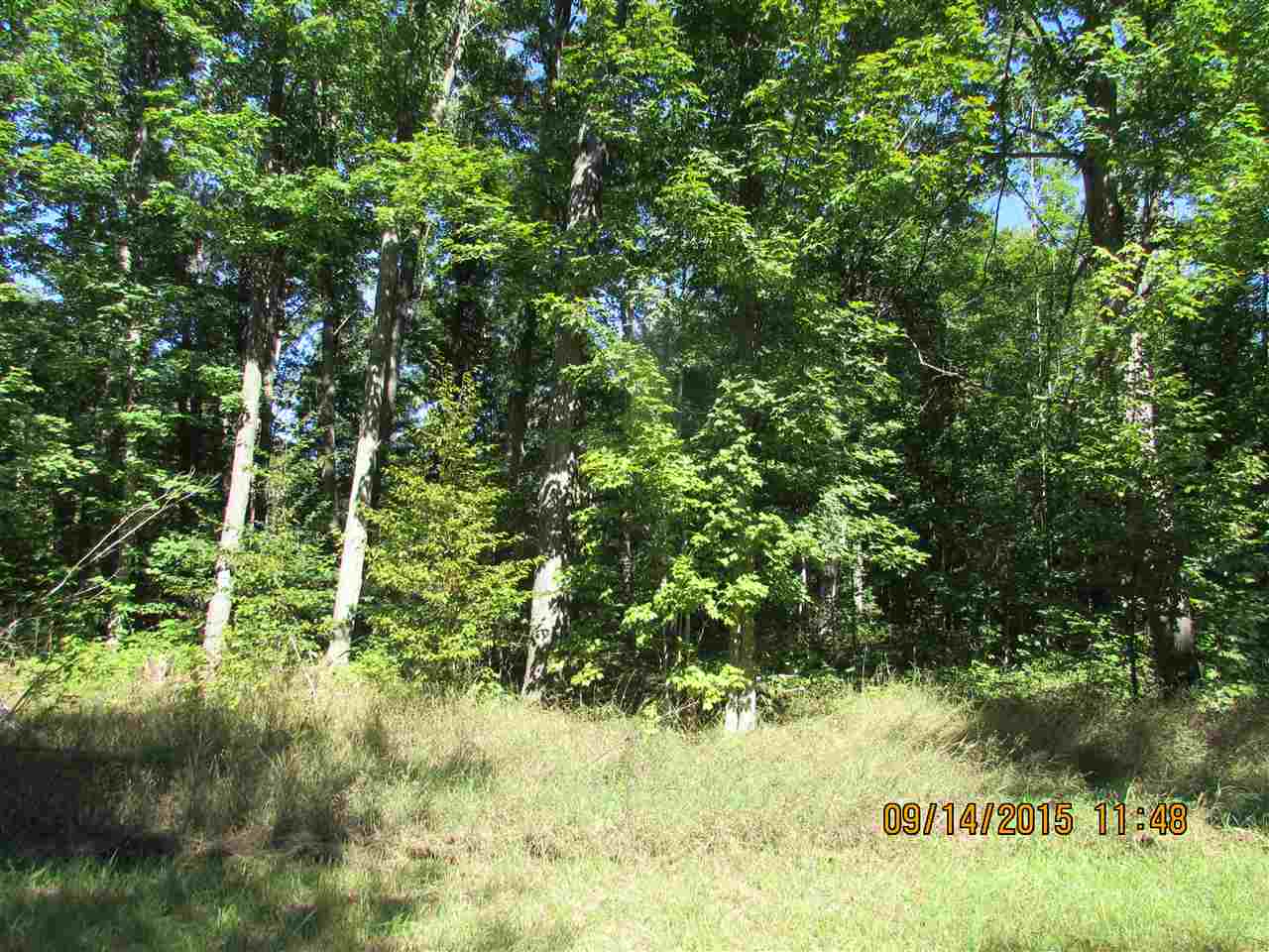 Photo 3 of Land for sale at 231 Kleehammer Clb Dr, Kalkaska, MI 49646 | MLS# 78080073786 | Listing updated on 2026-09-24