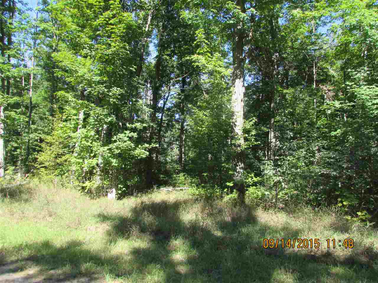 Photo 4 of Land for sale at 231 Kleehammer Clb Dr, Kalkaska, MI 49646 | MLS# 78080073786 | Listing updated on 2026-09-24