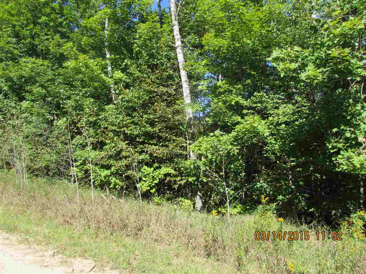 Photo 3 of Land for sale at 251 Kleehammer Clb Dr, Kalkaska, MI 49646 | MLS# 78080073789 | Listing updated on 2026-09-24