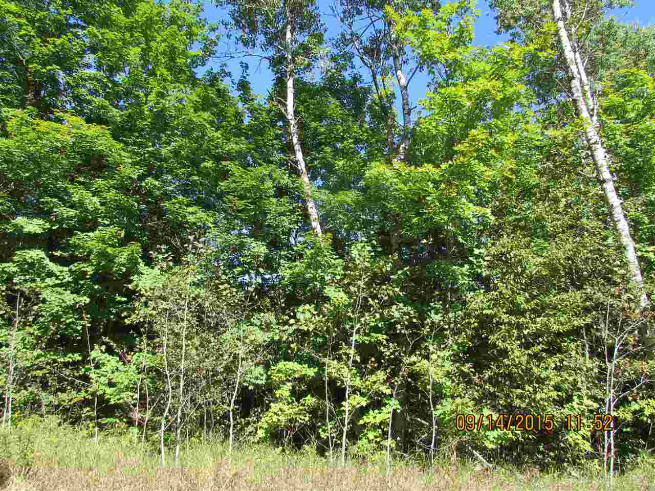 Photo 4 of Land for sale at 251 Kleehammer Clb Dr, Kalkaska, MI 49646 | MLS# 78080073789 | Listing updated on 2026-09-24