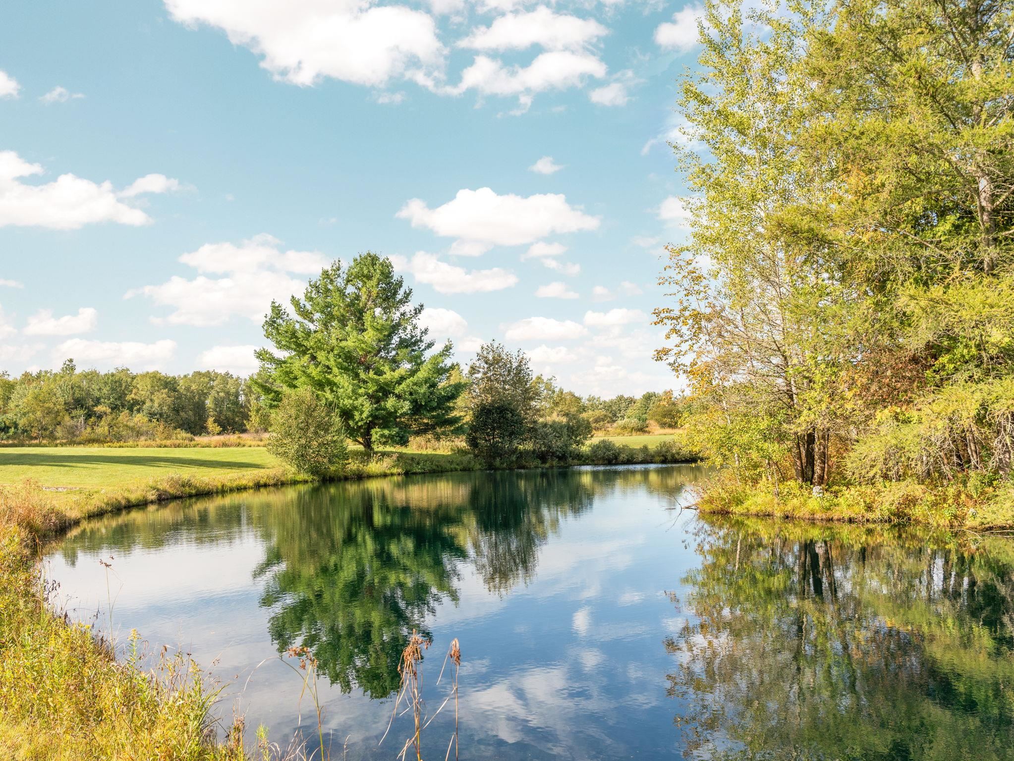Photo 4 of Single family home for sale at 9542 S 33 Road, Cadillac, MI 49601 | MLS# 78080073800 | Listing updated on 2026-09-25