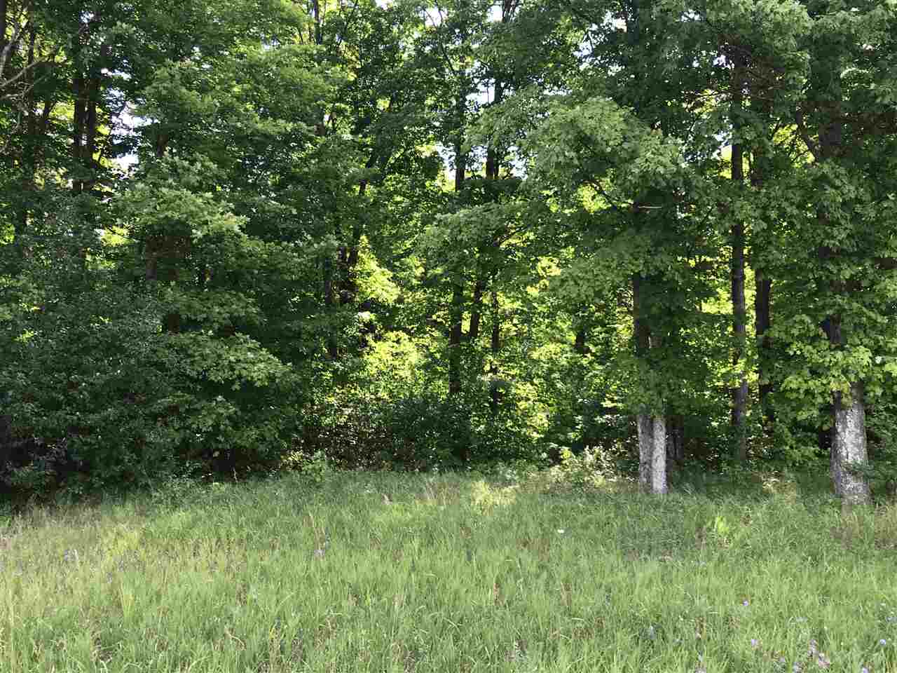 Photo 3 of Land for sale at 261 Kyle Dr, Kalkaska, MI 49646 | MLS# 80073814 | Listing updated on 2026-09-25
