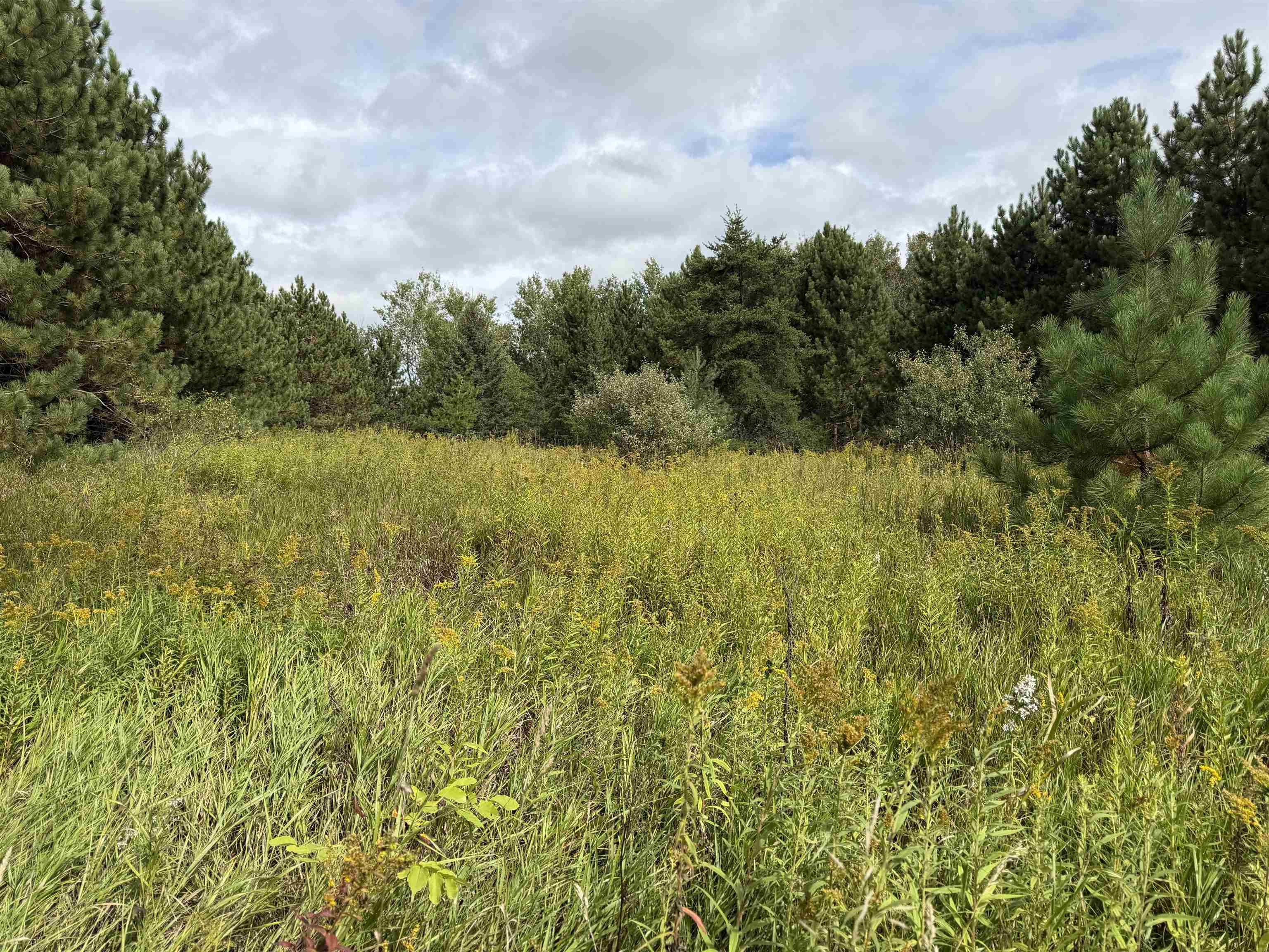Photo 1 of Land for sale at V/l 185th Avenue, Le Roy, MI 49655 | MLS# 80073815 | Listing updated on 2026-09-25