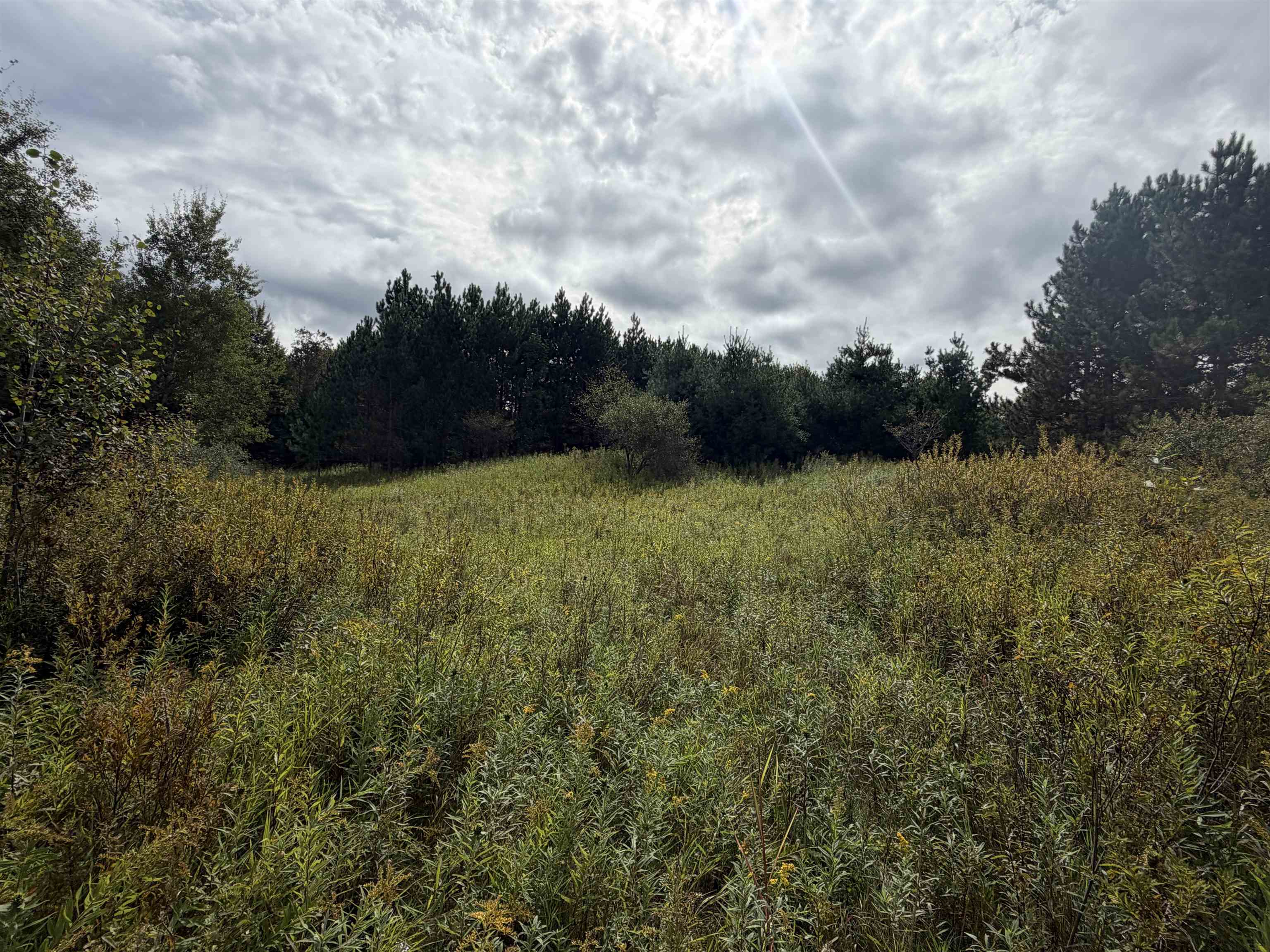 Photo 2 of Land for sale at V/l 185th Avenue, Le Roy, MI 49655 | MLS# 80073815 | Listing updated on 2026-09-25