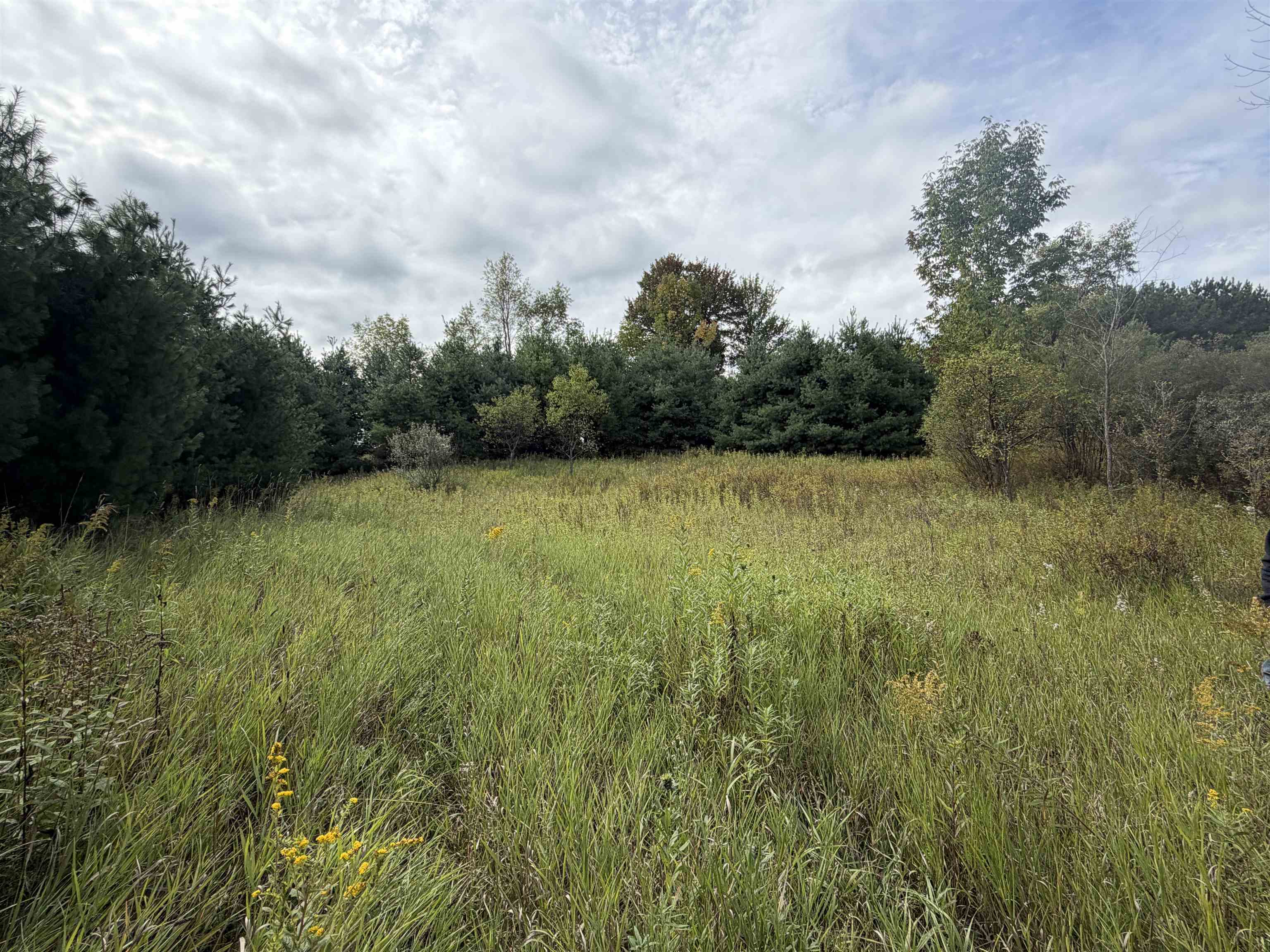 Photo 3 of Land for sale at V/l 185th Avenue, Le Roy, MI 49655 | MLS# 80073815 | Listing updated on 2026-09-25