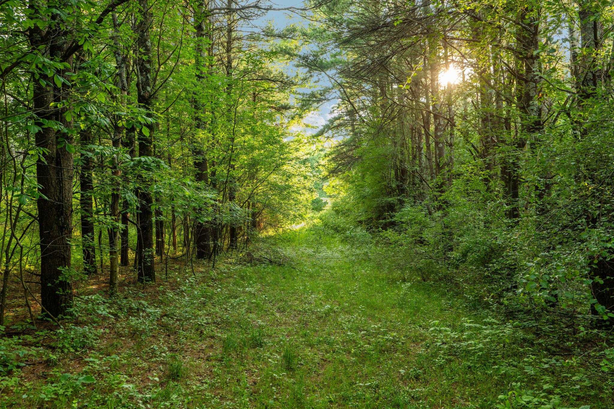 Photo 1 of Land for sale at 0 N Vincer Way, Northport, MI 49670 | MLS# 78080073821 | Listing updated on 2026-09-22