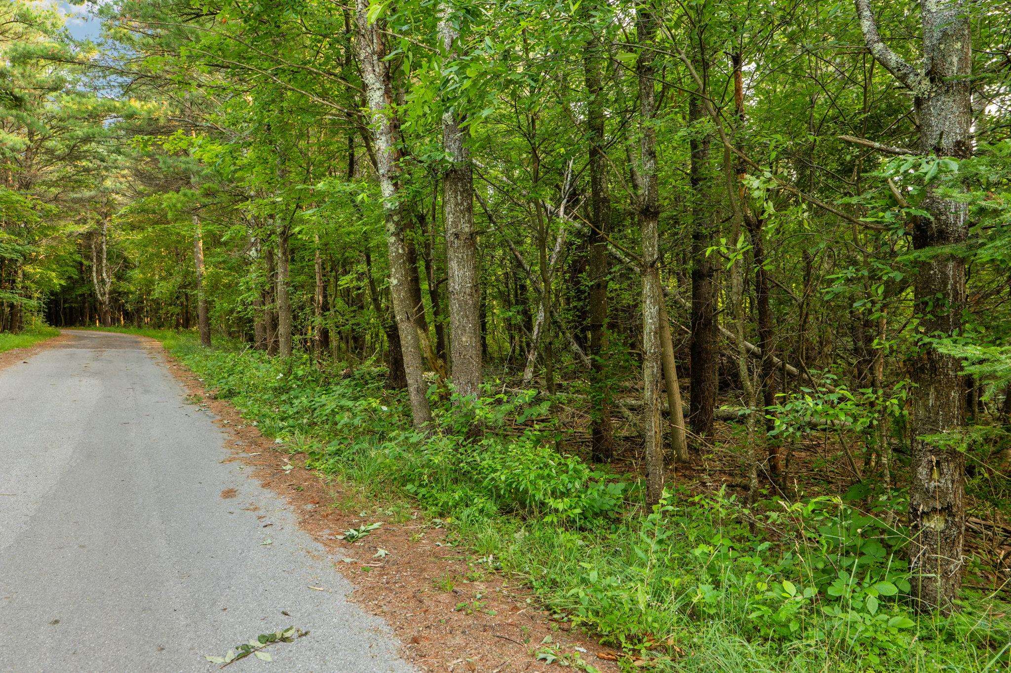 Photo 4 of Land for sale at 0 N Vincer Way, Northport, MI 49670 | MLS# 78080073821 | Listing updated on 2026-09-22