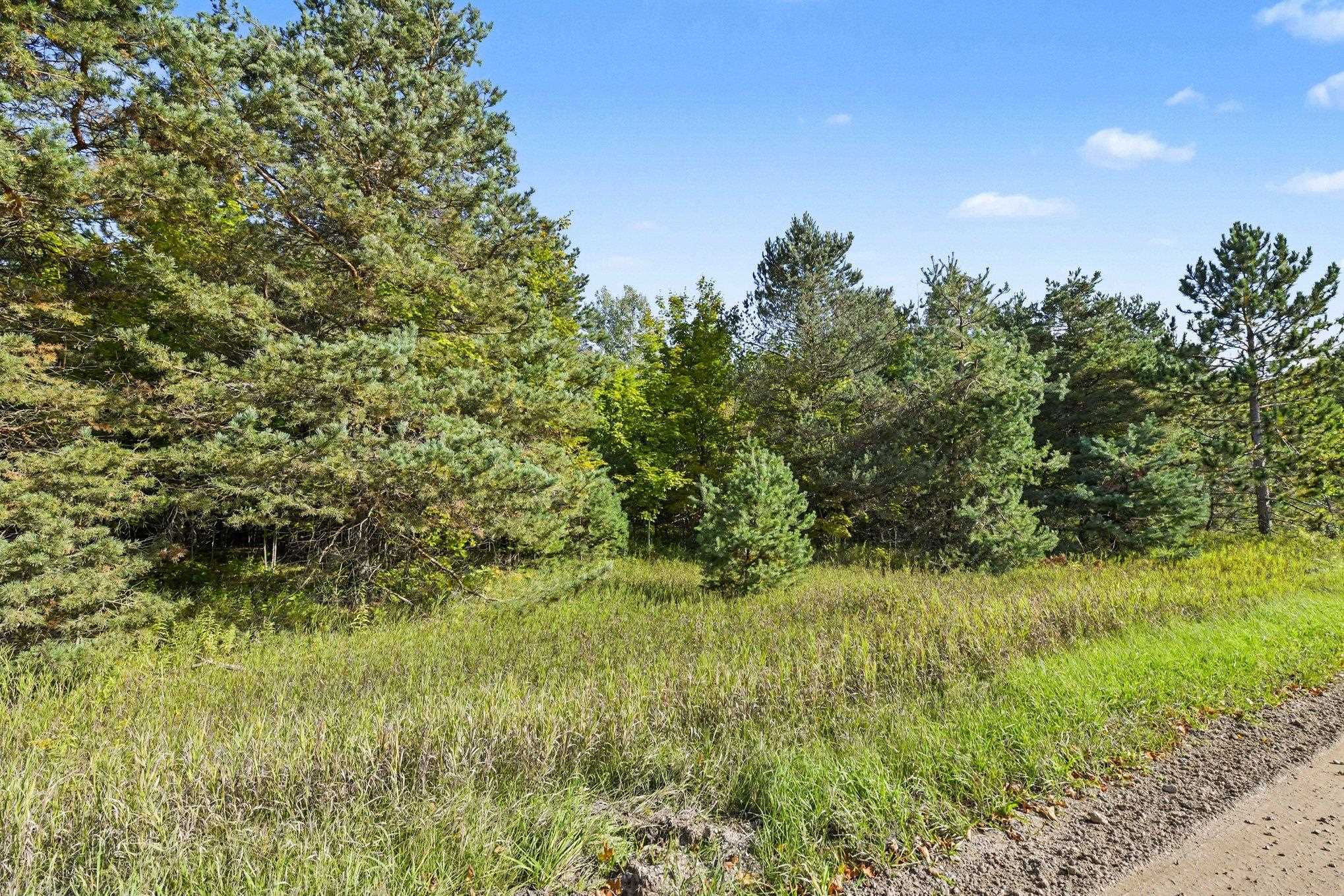 Photo 3 of Sale Pending at V/l Elliott Rd, Buckley, MI 49620 | MLS# 80073845 | Listing updated on 2026-09-25