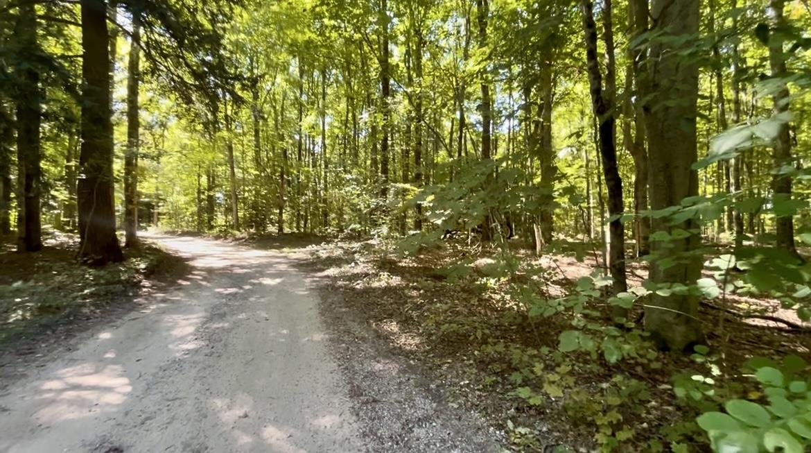 Photo 1 of Land for sale at 00 Langs Ln, Interlochen, MI 49643 | MLS# 78080073868 | Listing updated on 2026-09-26