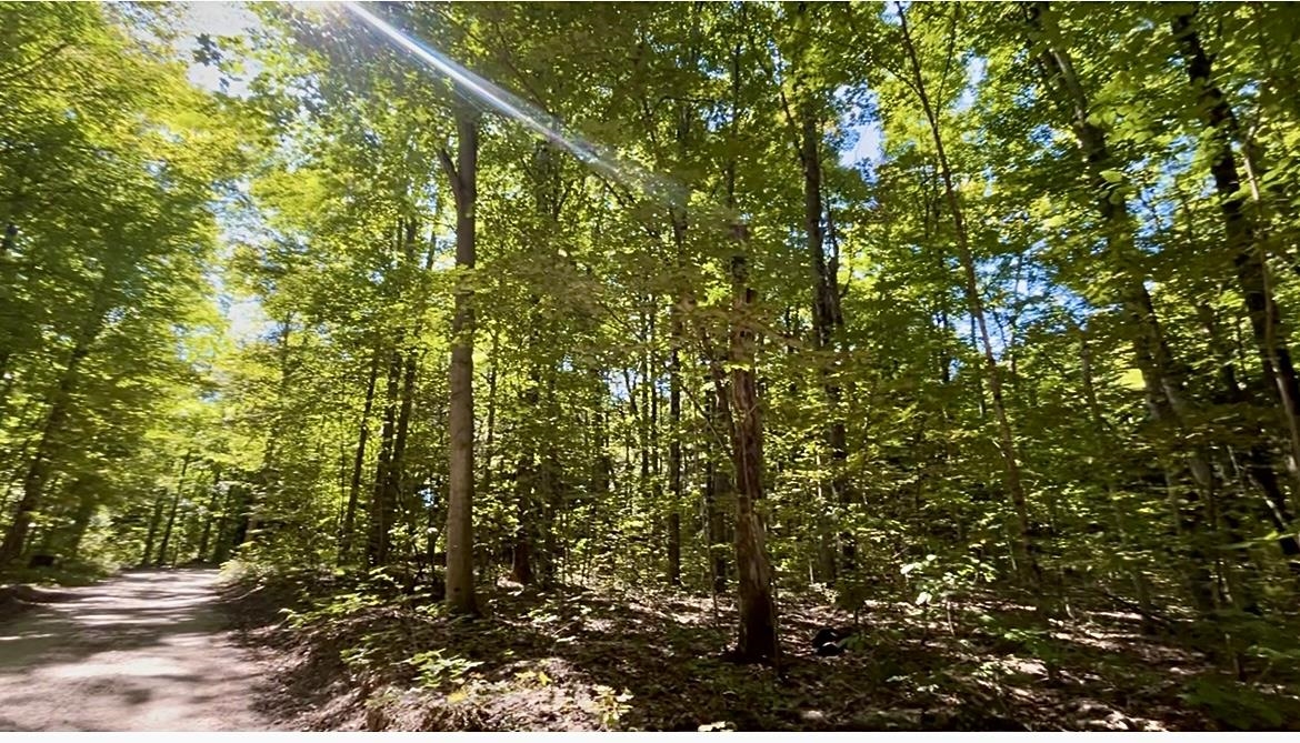 Photo 2 of Land for sale at 00 Langs Ln, Interlochen, MI 49643 | MLS# 78080073868 | Listing updated on 2026-09-26