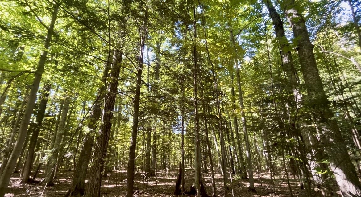 Photo 3 of Land for sale at 00 Langs Ln, Interlochen, MI 49643 | MLS# 78080073868 | Listing updated on 2026-09-26