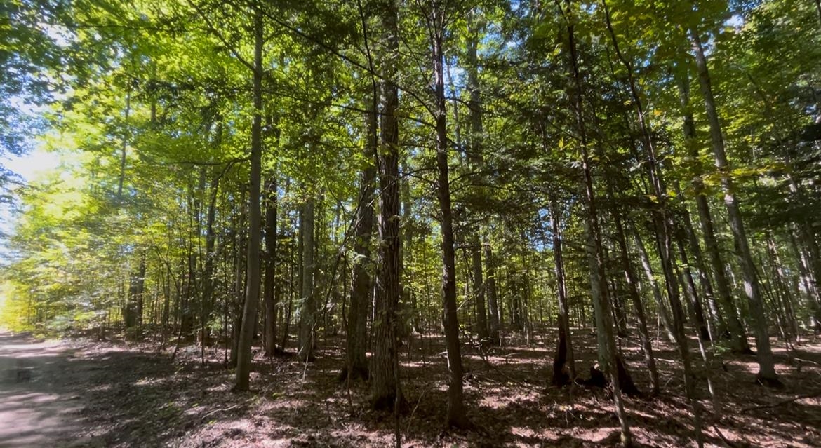 Photo 3 of Land for sale at 00 Langs Ln, Interlochen, MI 49643 | MLS# 78080073868 | Listing updated on 2026-09-26