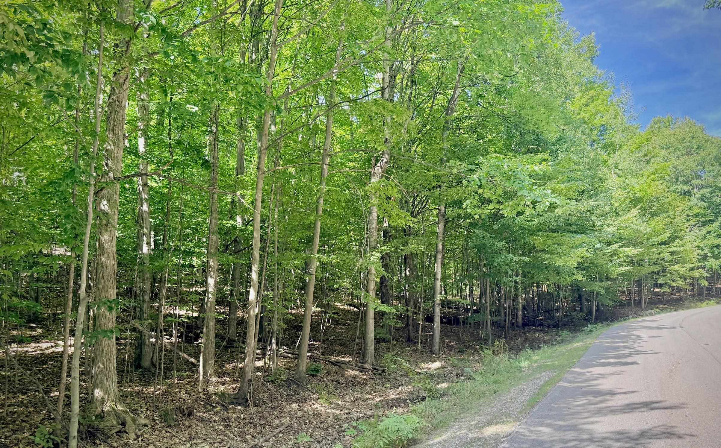 Photo 3 of Land for sale at Vacant Lot Trout Run, Bellaire, MI 49615 | MLS# 80073889 | Listing updated on 2026-09-27