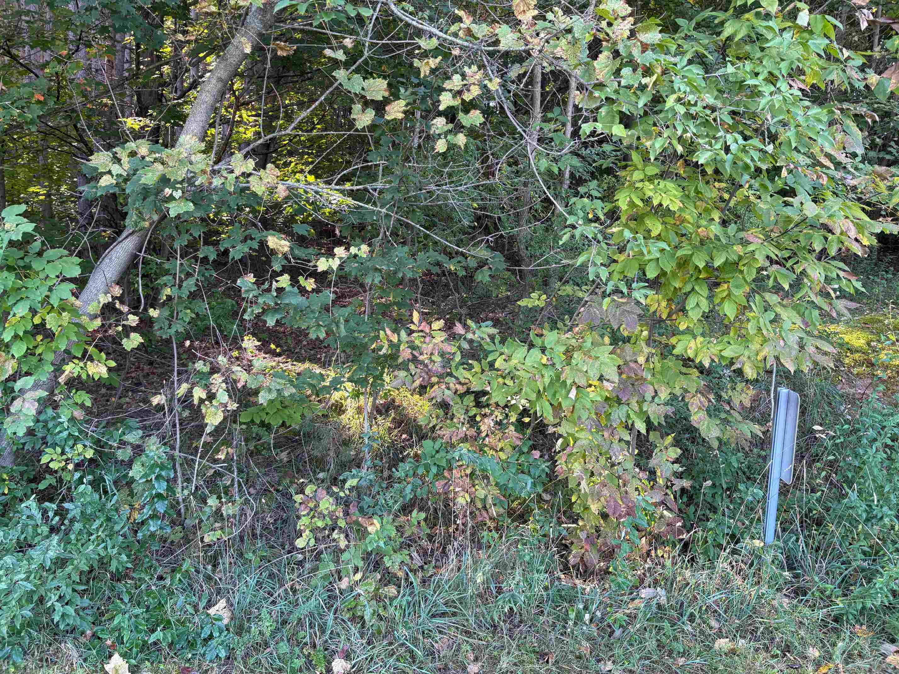 Photo 3 of Land for sale at # 40 E N Wind Trl, Lake Leelanau, MI 49653 | MLS# 80073903 | Listing updated on 2026-09-27