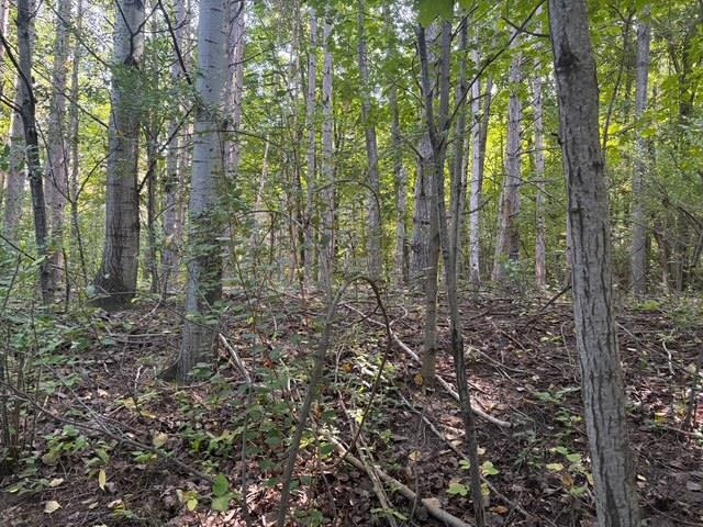 Photo 3 of Land for sale at #-40 E N Wind Trl, Lake Leelanau, MI 49653 | MLS# 80073903 | Listing updated on 2026-09-27