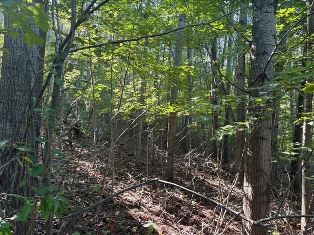 Photo 4 of Land for sale at #-40 E N Wind Trl, Lake Leelanau, MI 49653 | MLS# 80073903 | Listing updated on 2026-09-27