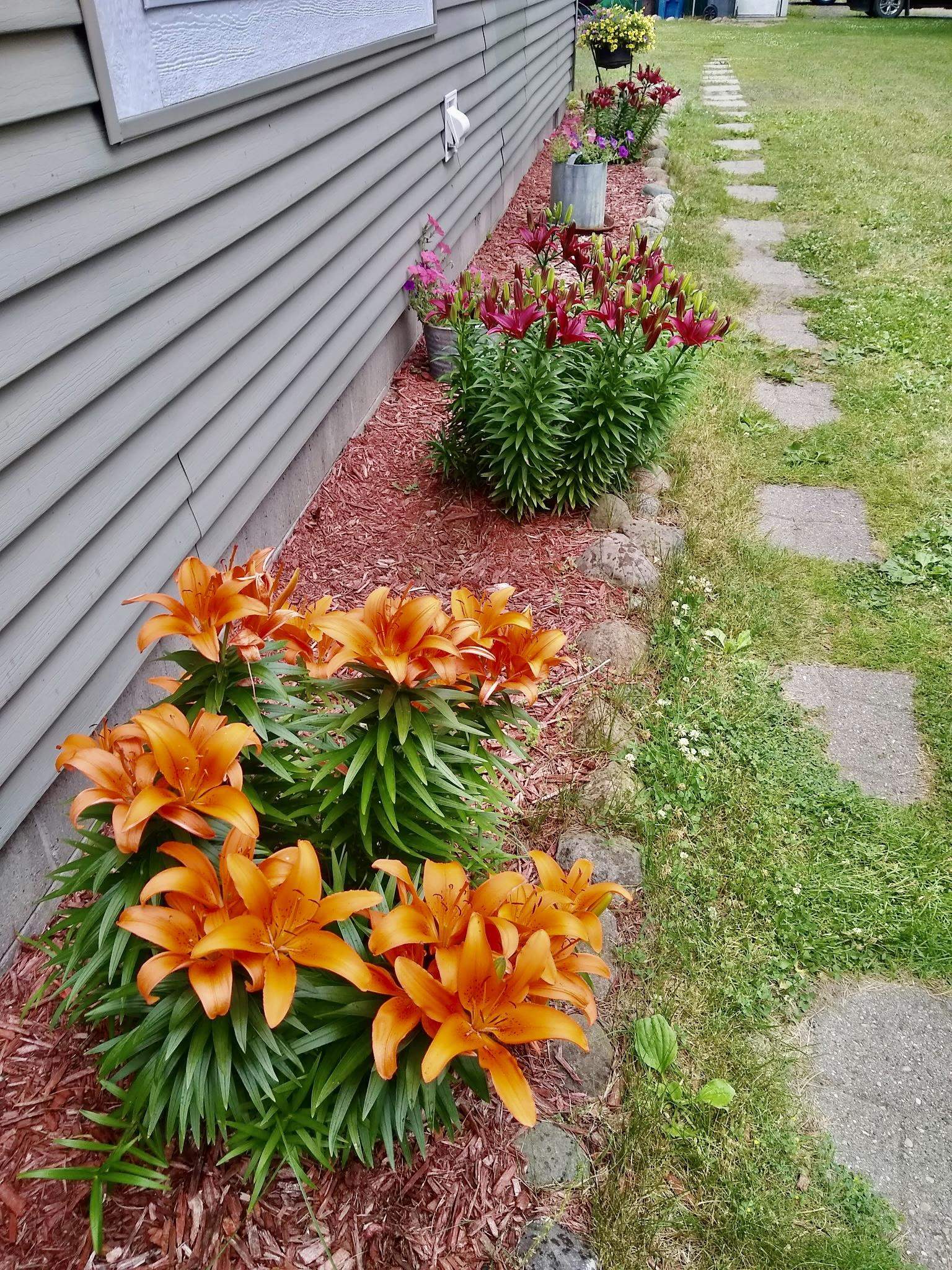 Photo 1 of Single family home for sale at 587 N Lewis, Shepherd, MI 48883 | MLS# 79080073917 | Listing updated on 2026-10-05