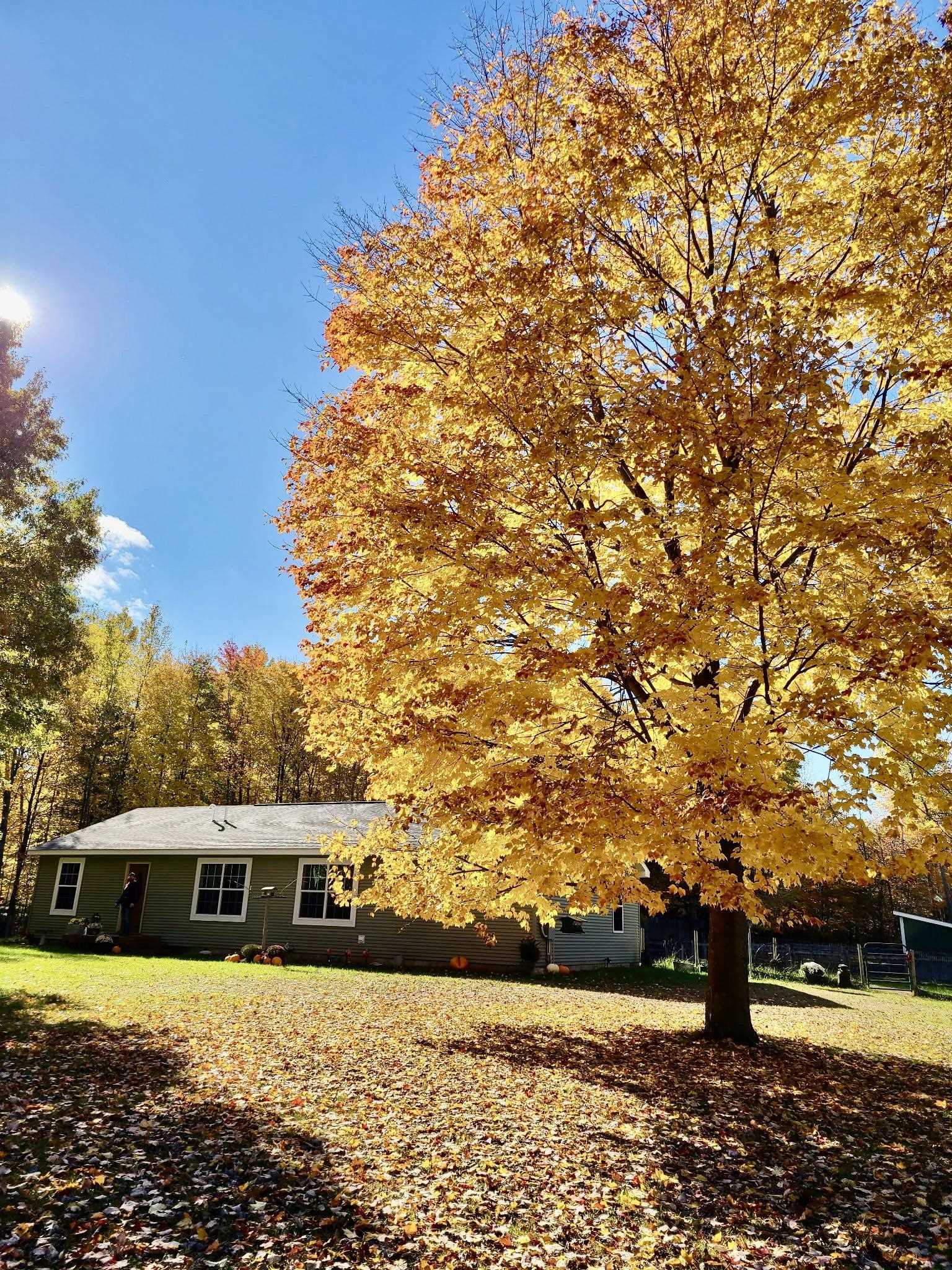 Photo 3 of Single family home for sale at 587 N Lewis, Shepherd, MI 48883 | MLS# 79080073917 | Listing updated on 2026-10-05