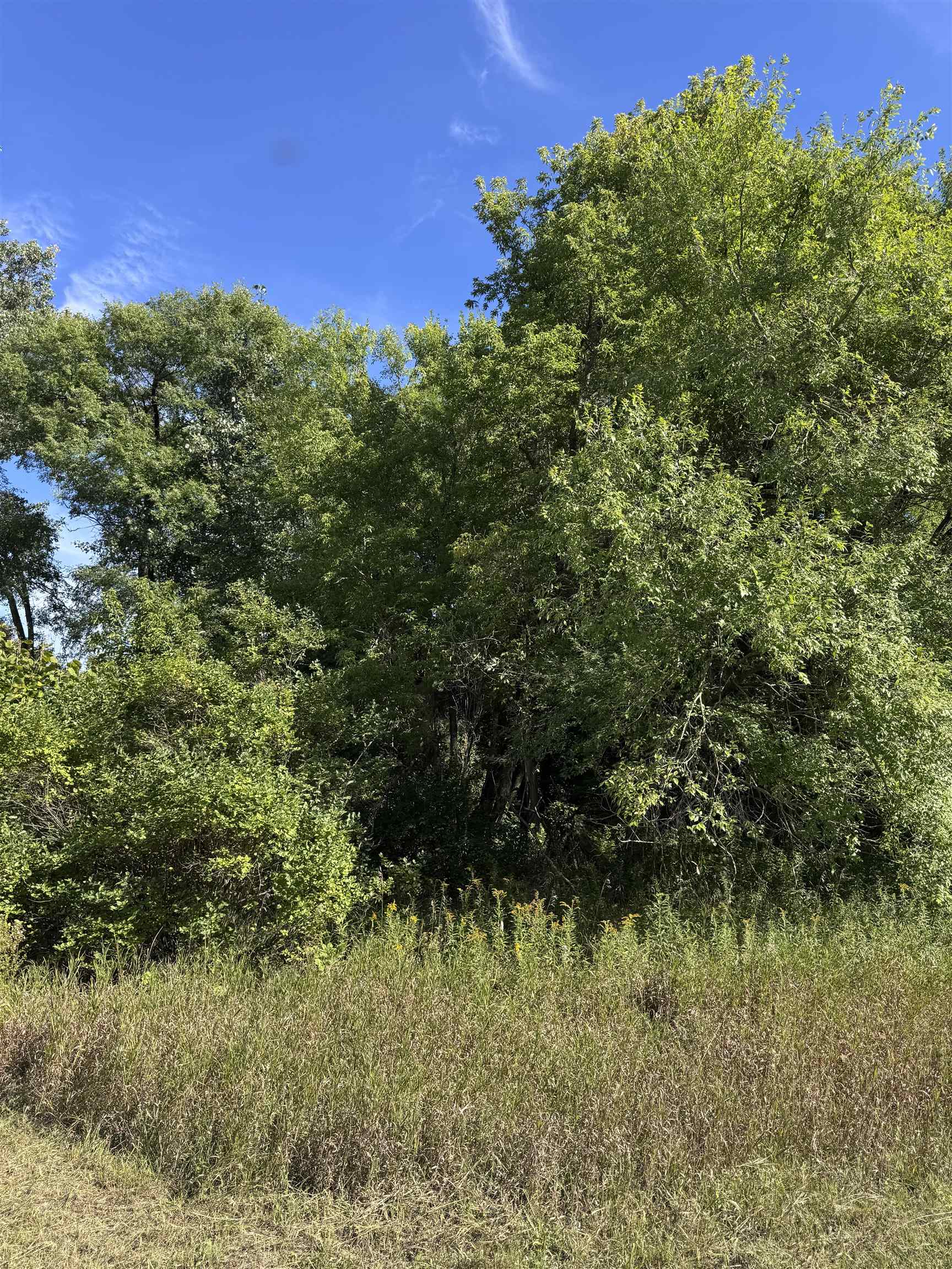 Photo 3 of Land for sale at 01 1st Street, Mesick, MI 49668 | MLS# 80073927 | Listing updated on 2026-09-28