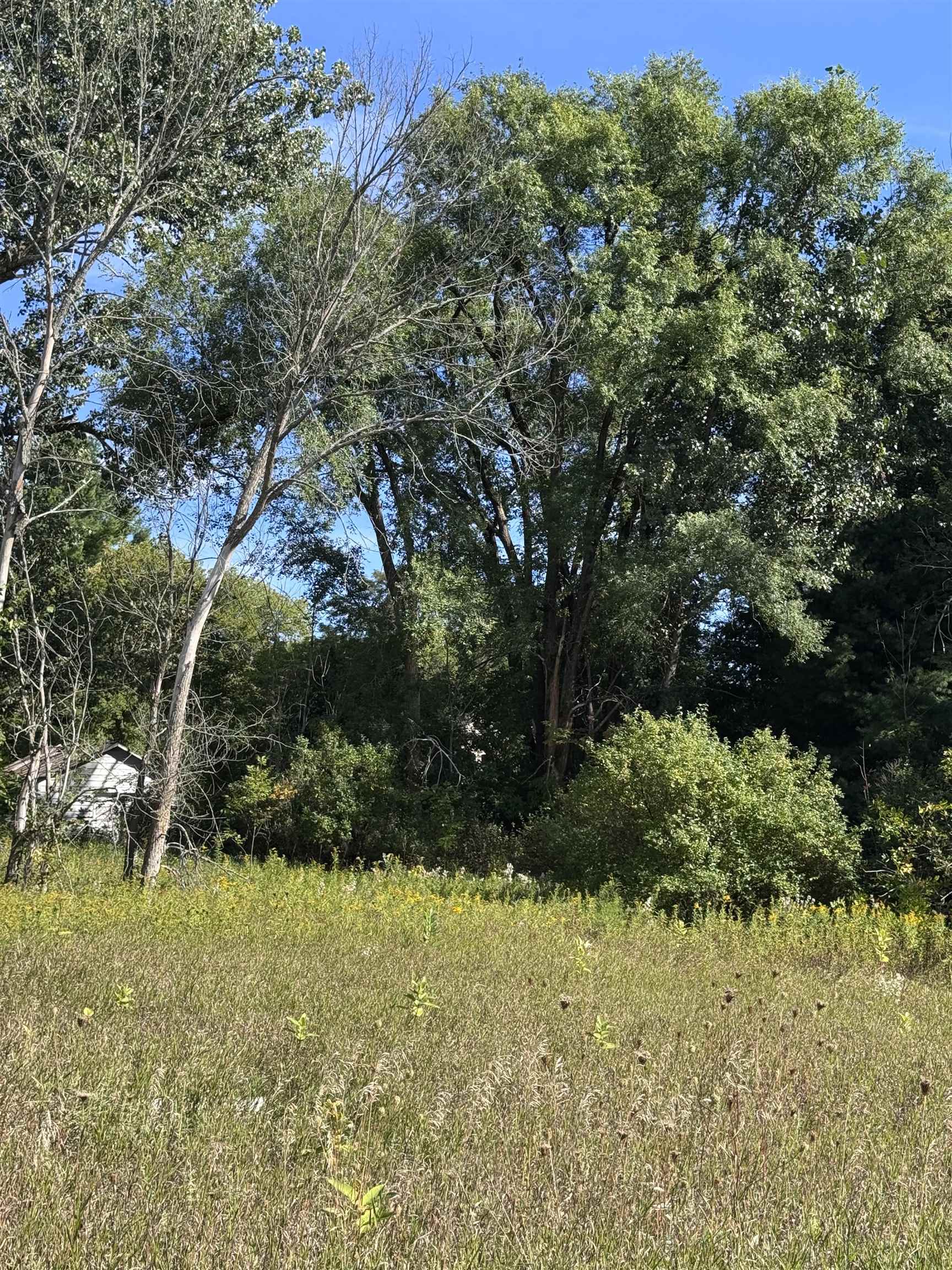 Photo 2 of Land for sale at 02 1st Street, Mesick, MI 49668 | MLS# 80073929 | Listing updated on 2026-09-28