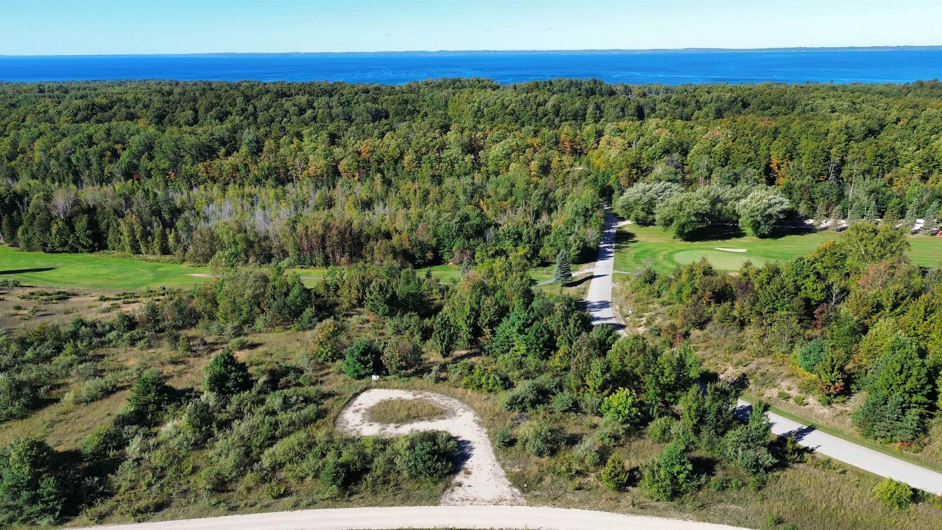 Photo 2 of Land for sale at 9029 Dungannon Ln, Ellsworth, MI 49729 | MLS# 78080073934 | Listing updated on 2026-09-28