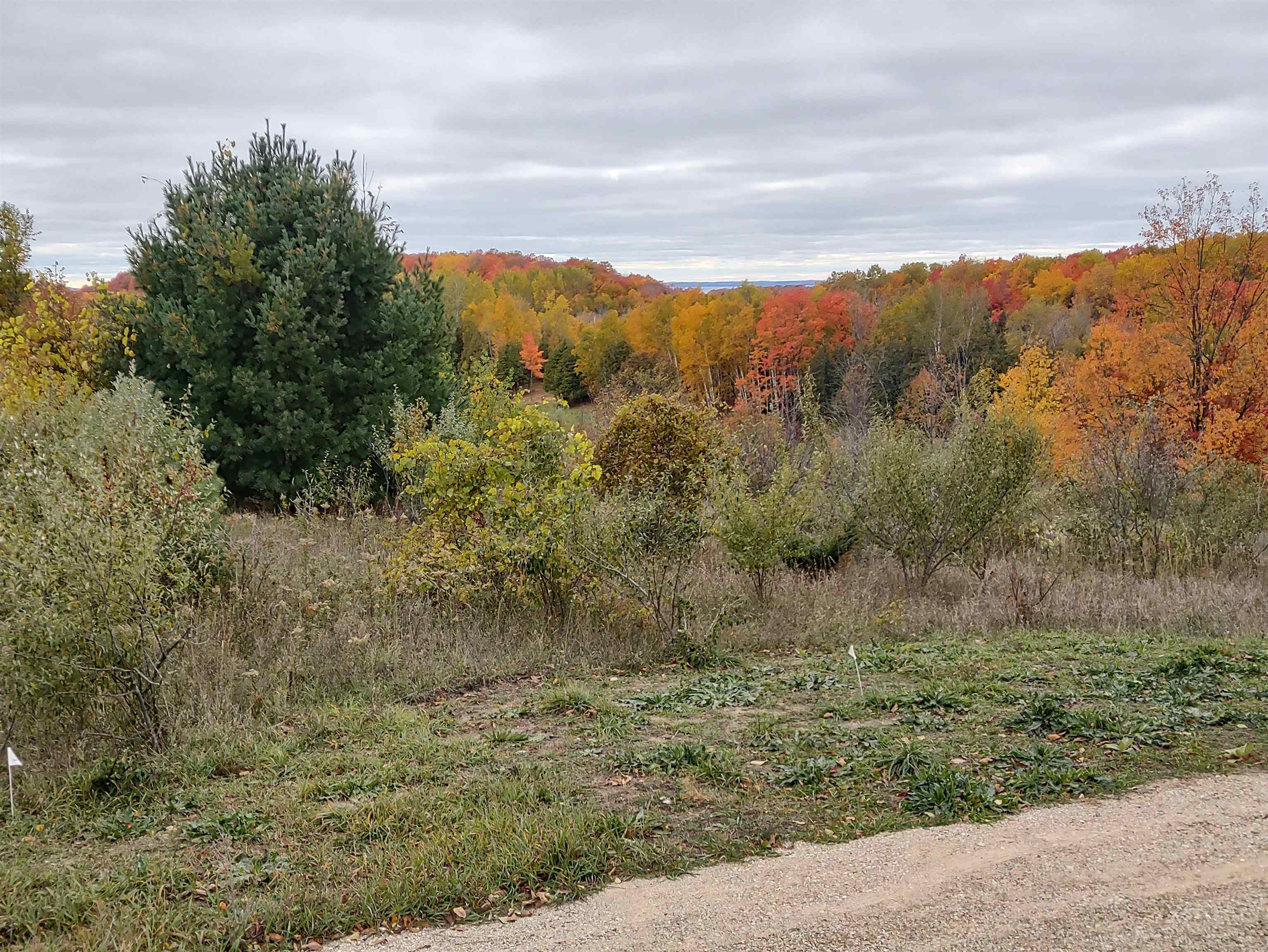 Photo 4 of Land for sale at 9029 Dungannon Ln, Ellsworth, MI 49729 | MLS# 78080073934 | Listing updated on 2026-09-28