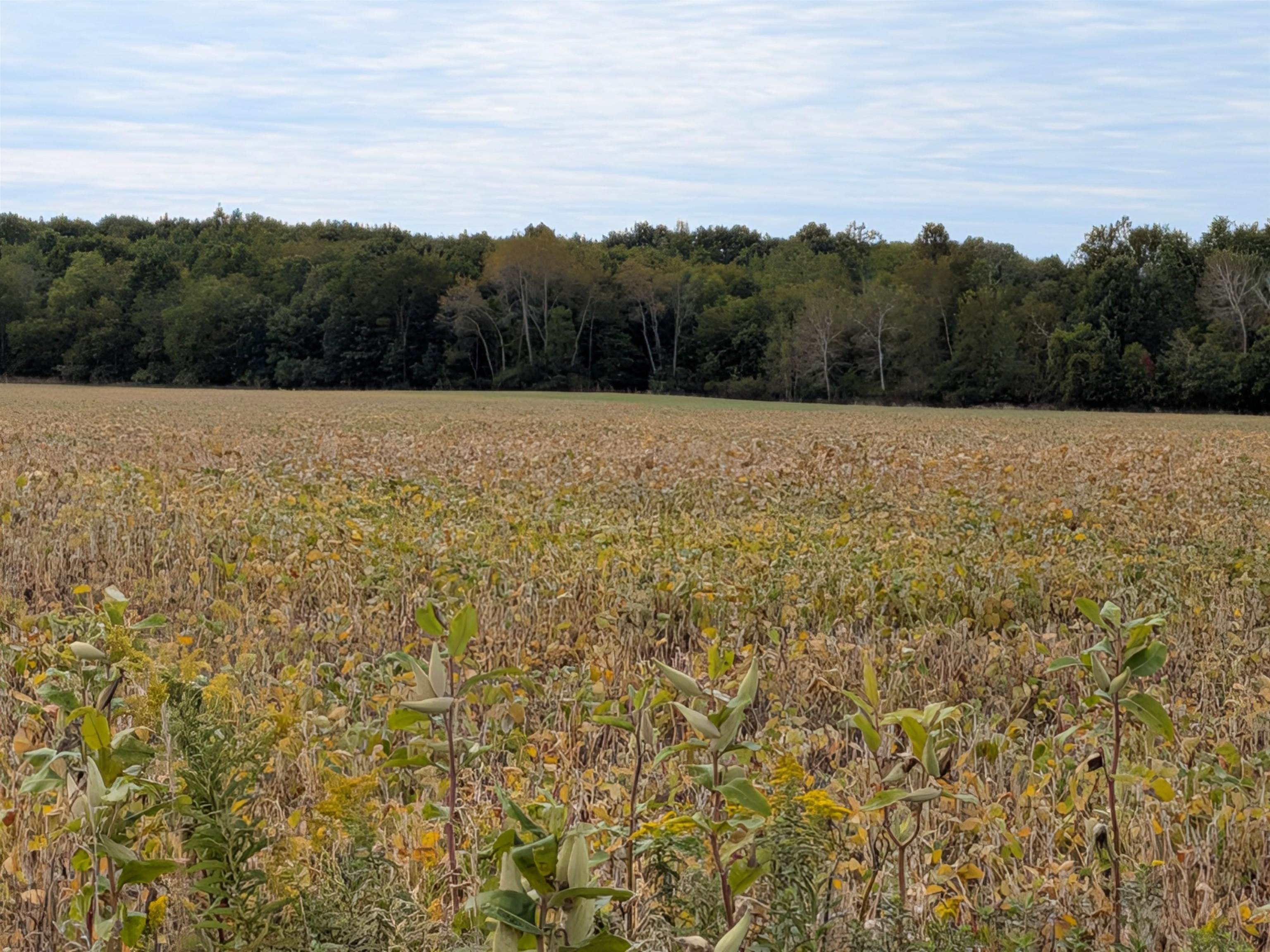 Photo 1 of Land for sale at 6571 W Saint Charles Rd, Sumner Township Gratiot, MI 48801 | MLS# 79080073950 | Listing updated on 2026-10-06