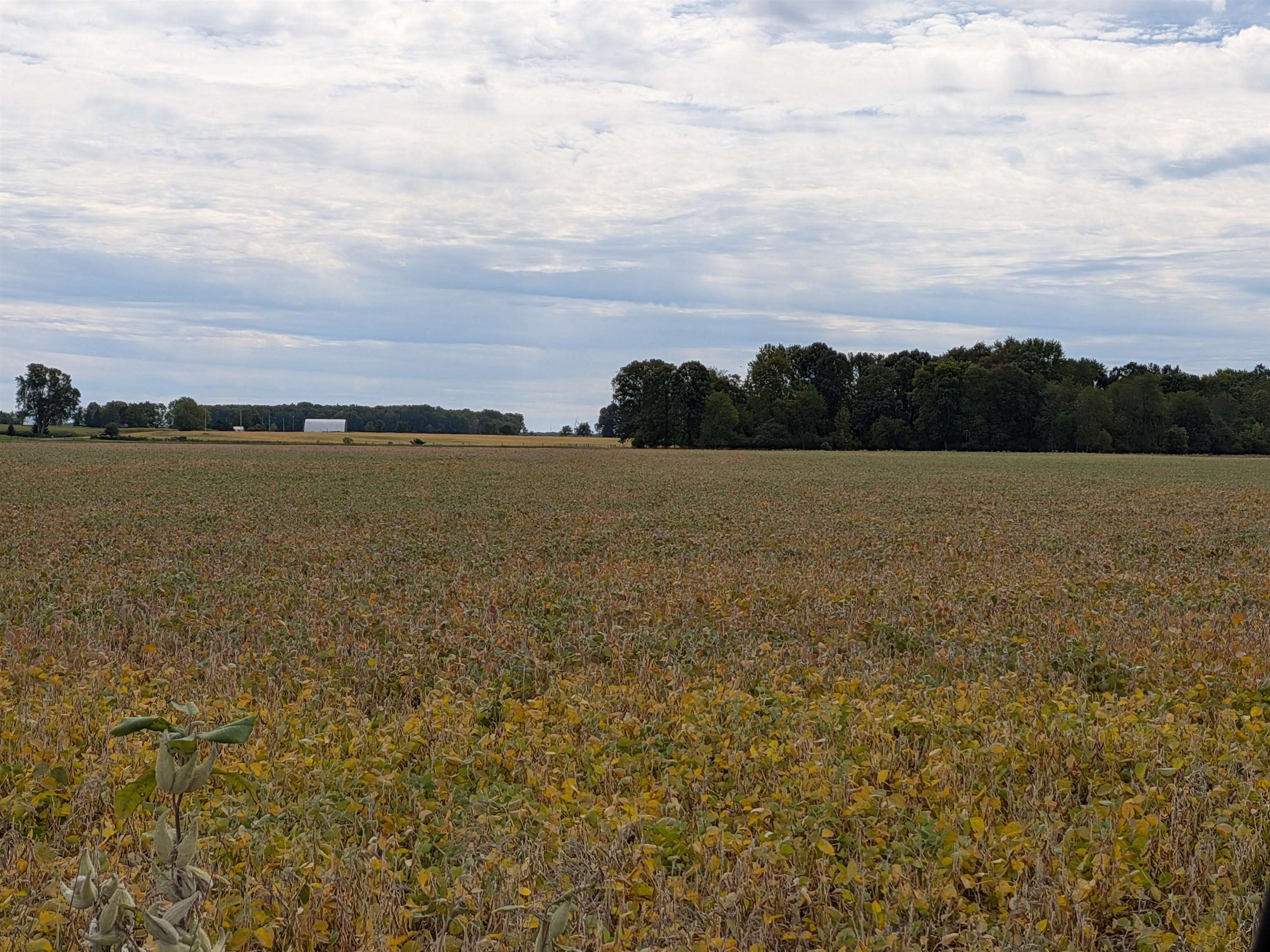 Photo 3 of Land for sale at 6571 W Saint Charles Rd, Sumner, MI 48889 | MLS# 80073950 | Listing updated on 2026-10-06