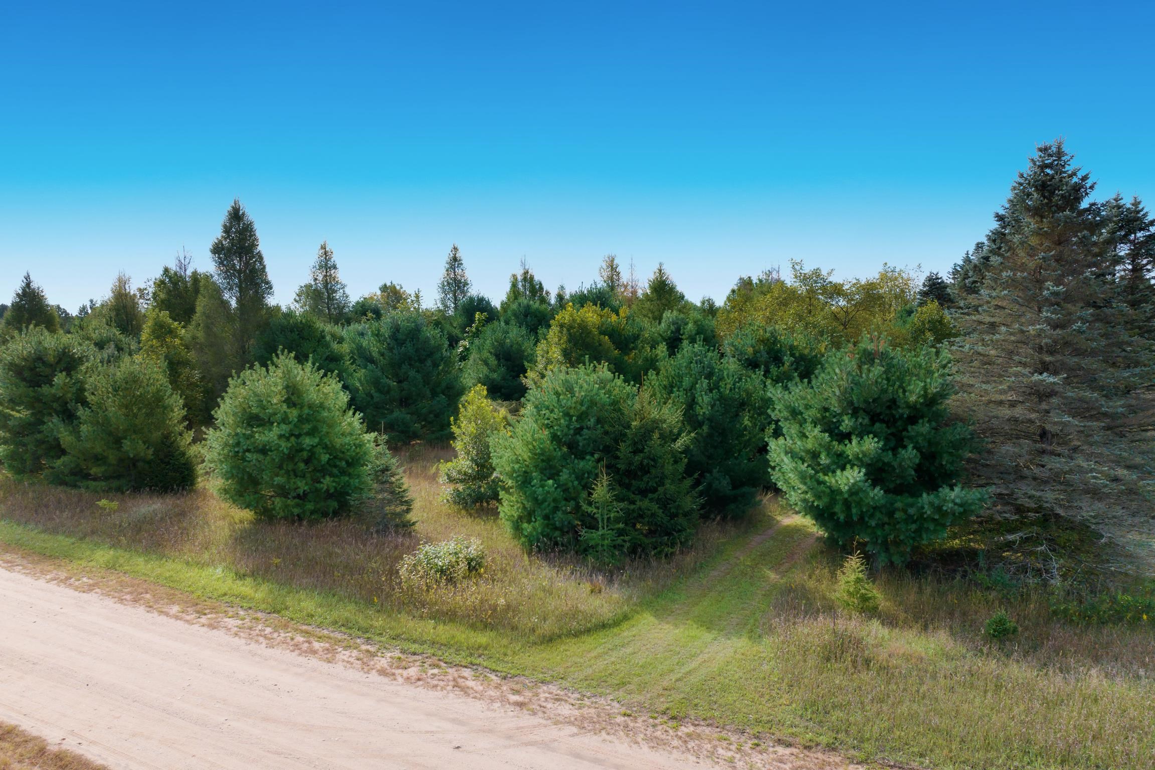 Photo 2 of Land for sale at 000 Mallard, Thompsonville, MI 49683 | MLS# 78080073952 | Listing updated on 2026-10-07