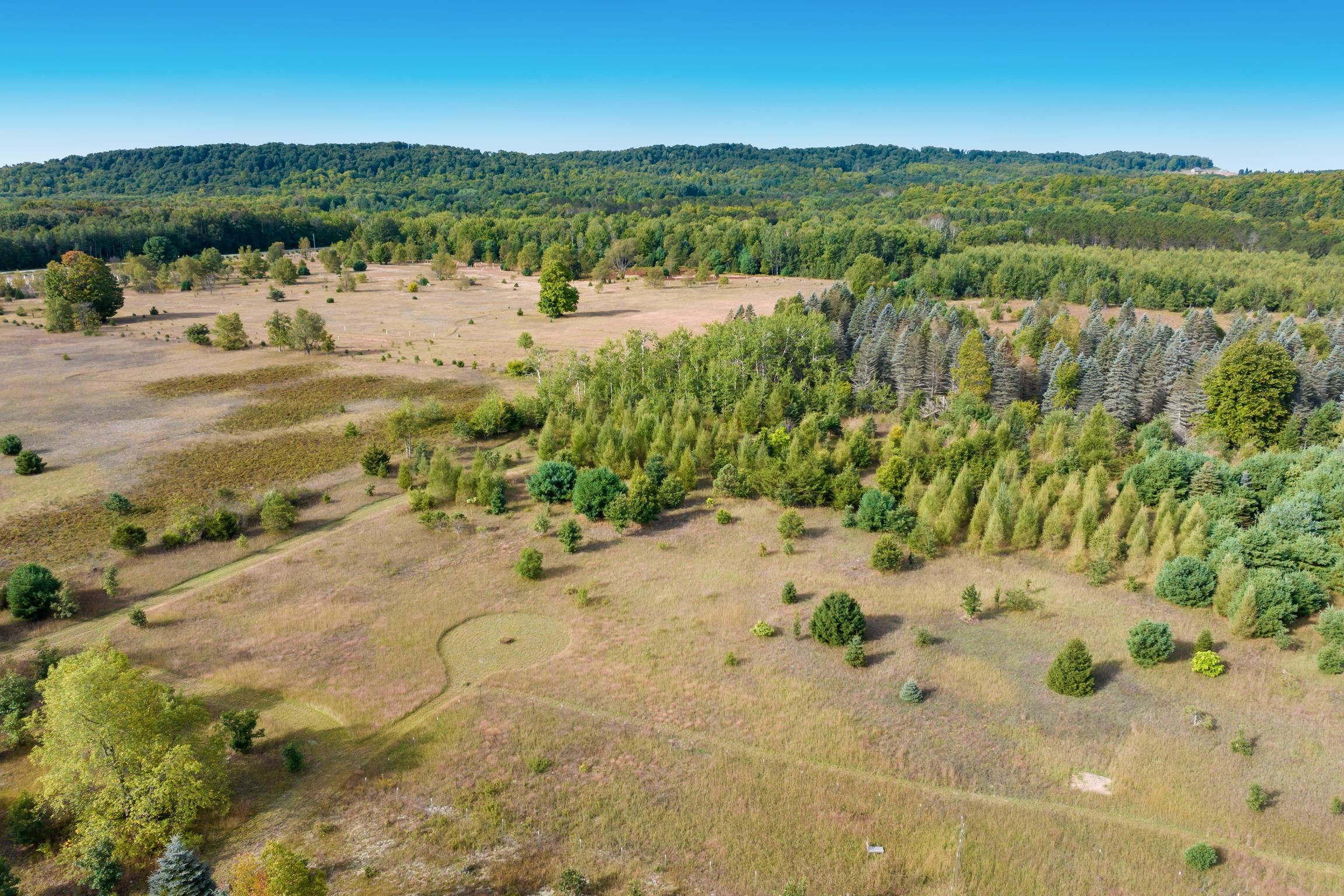 Photo 3 of Land for sale at 000 Mallard, Thompsonville, MI 49683 | MLS# 78080073952 | Listing updated on 2026-10-07