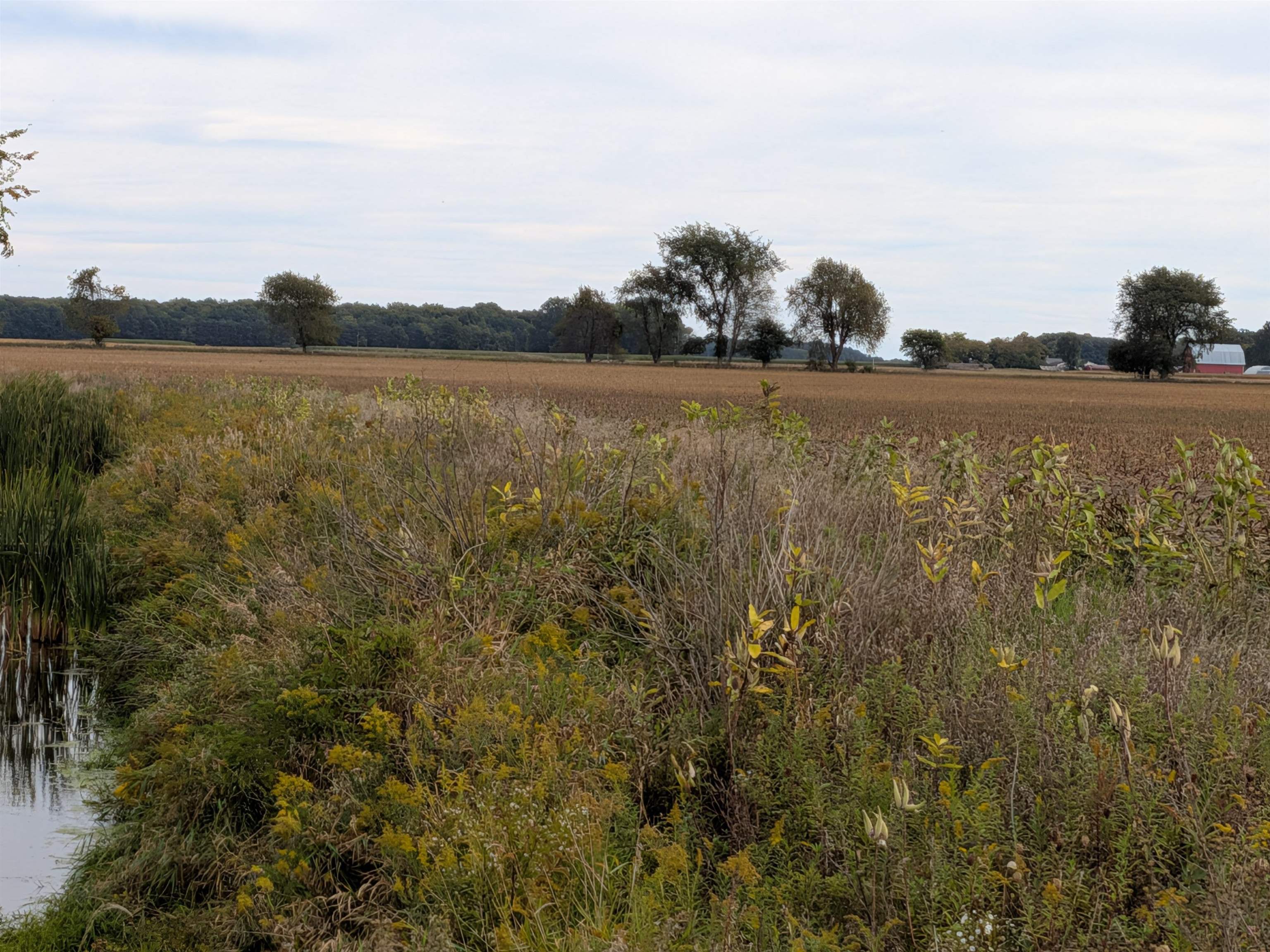 Photo 3 of Land for sale at 516 N Pingree Rd, Sumner, MI 48889 | MLS# 79080073954 | Listing updated on 2026-10-06