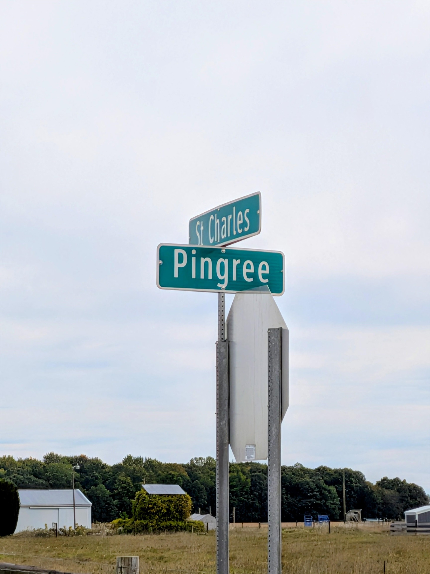Photo 3 of Land for sale at 516 N Pingree Rd, Sumner, MI 48889 | MLS# 79080073954 | Listing updated on 2026-10-06