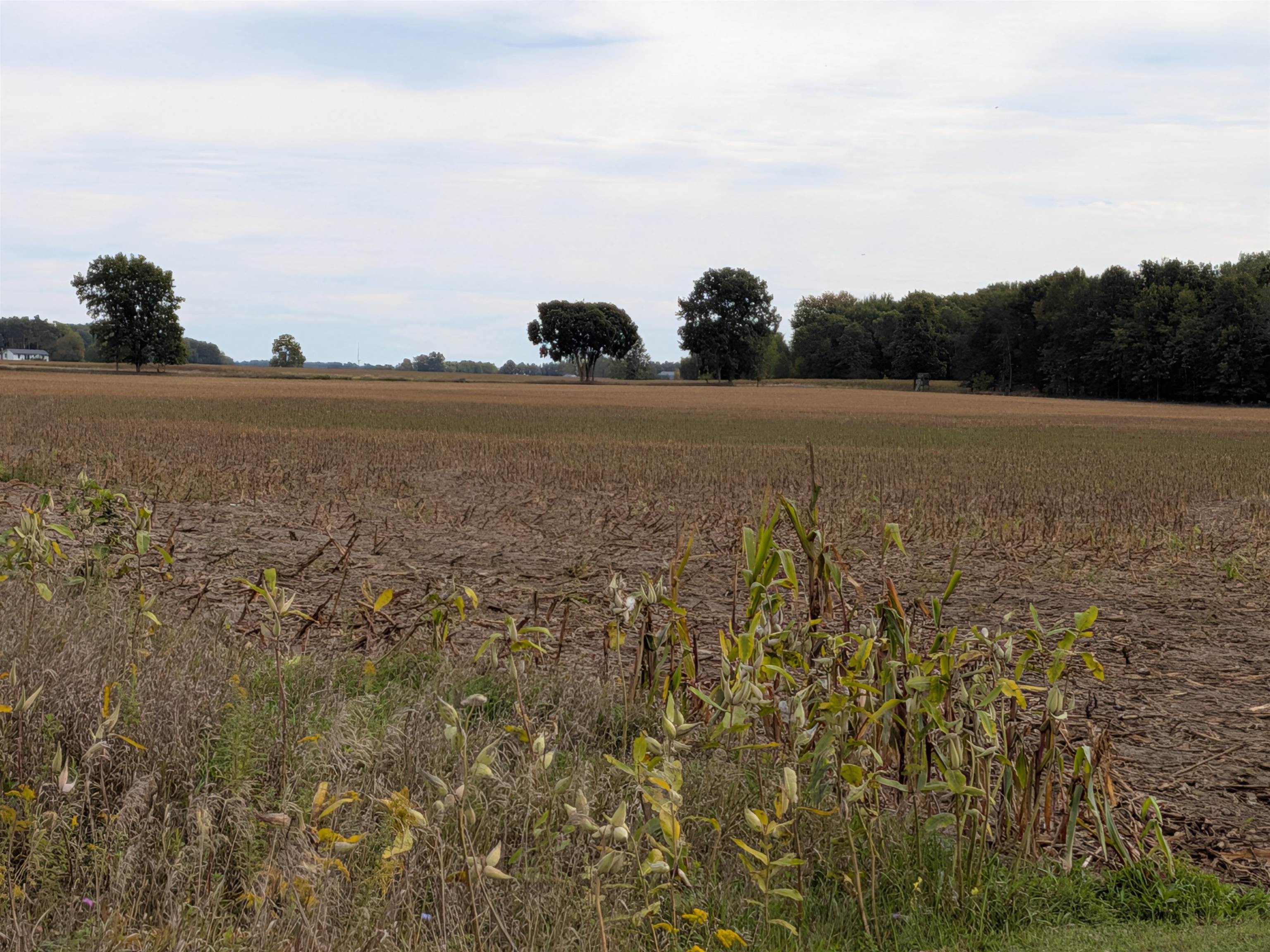 Photo 4 of Land for sale at 516 N Pingree Rd, Sumner, MI 48889 | MLS# 79080073954 | Listing updated on 2026-10-06
