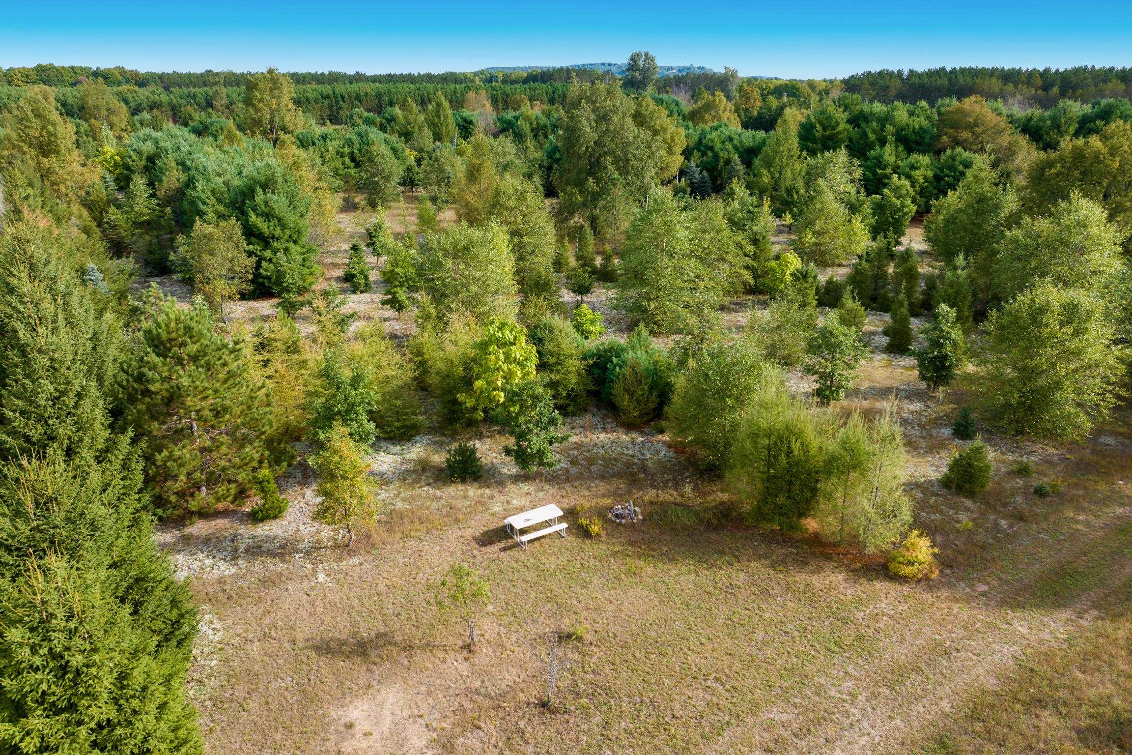 Photo 3 of Land for sale at 0 Mallard, Thompsonville, MI 49683 | MLS# 78080073957 | Listing updated on 2026-10-07