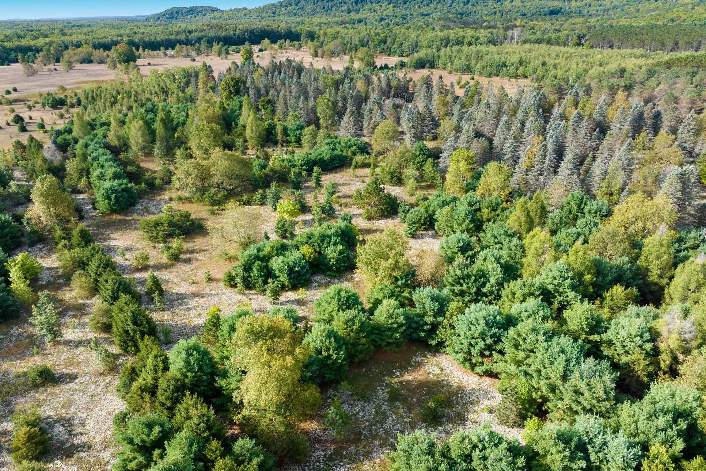 Photo 4 of Land for sale at 0 Mallard, Thompsonville, MI 49683 | MLS# 78080073957 | Listing updated on 2026-10-07