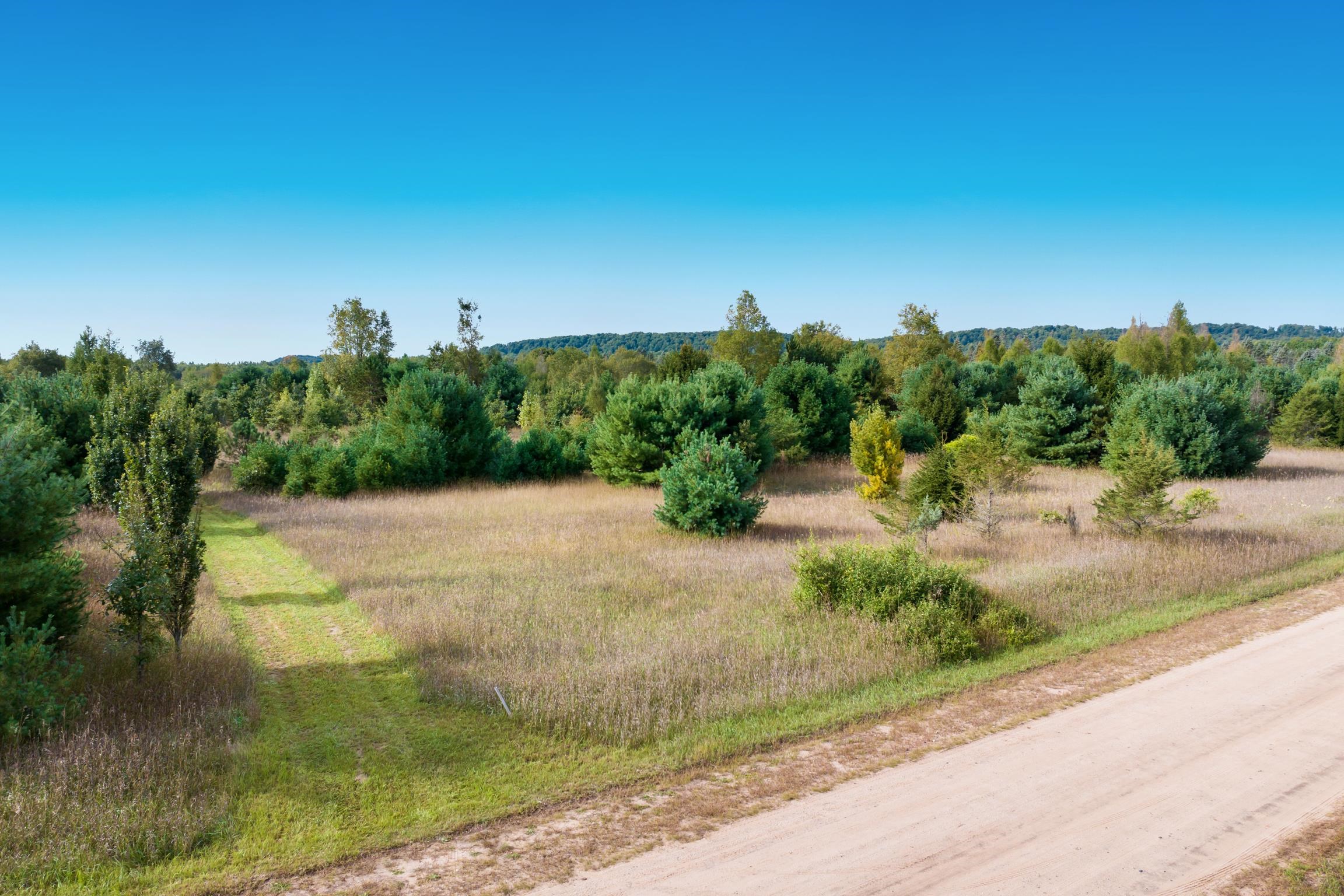 Photo 4 of Land for sale at 00 Mallard, Thompsonville, MI 49683 | MLS# 78080073958 | Listing updated on 2026-10-07