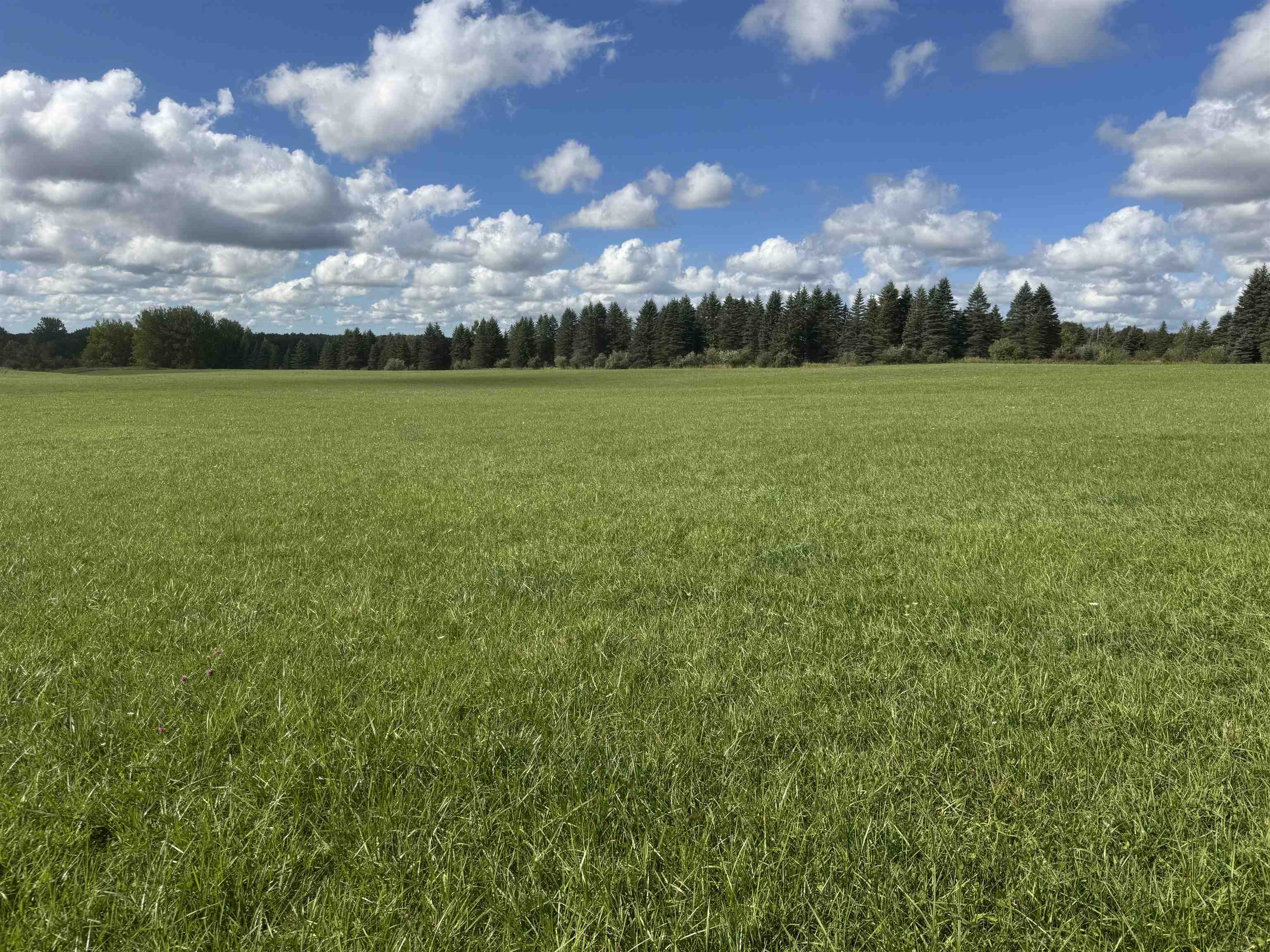 Photo 1 of Land for sale at 0 Ora Lake Rd, Hale, MI 48739 | MLS# 77080074005 | Listing updated on 2026-10-07