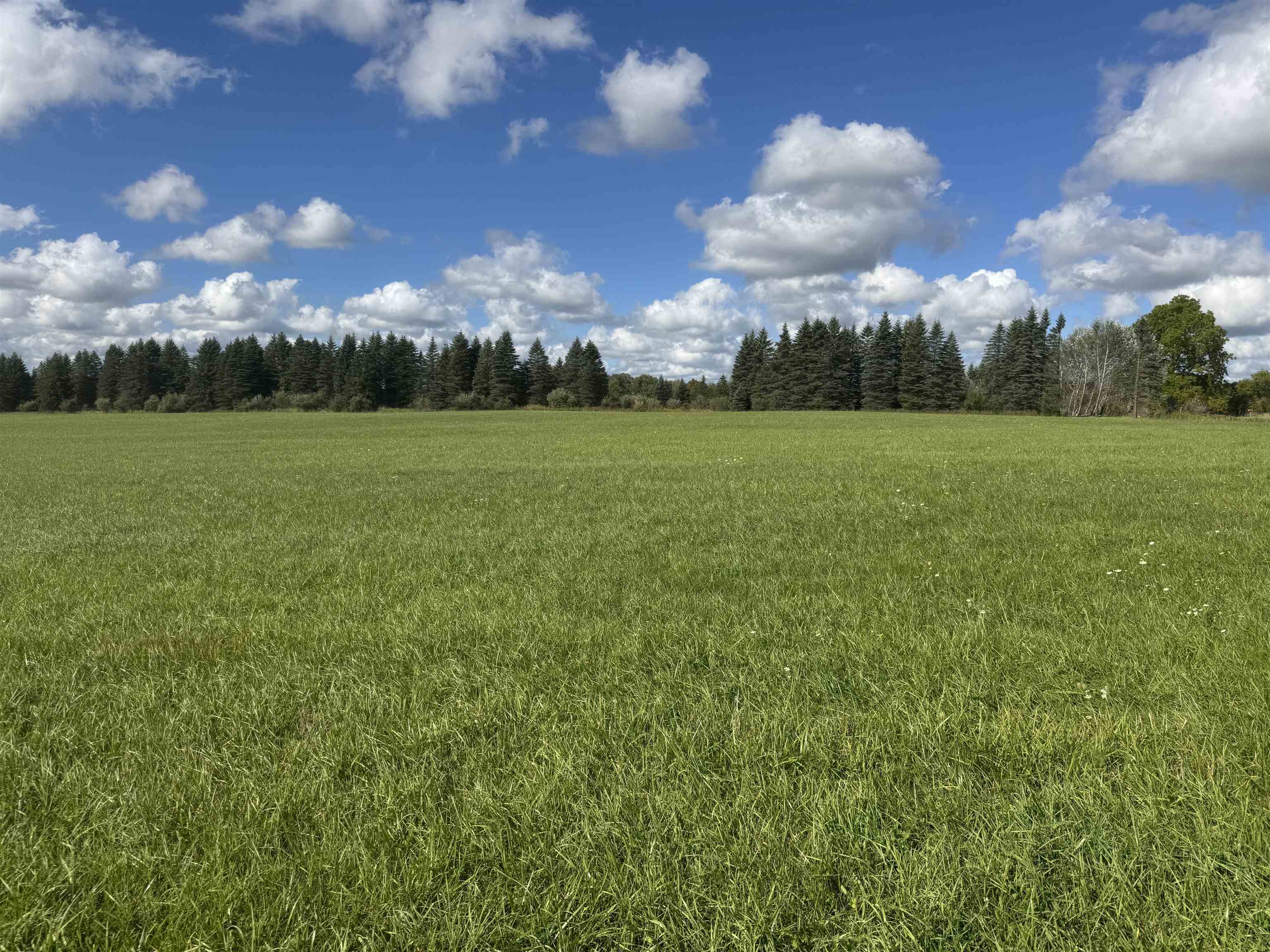 Photo 2 of Land for sale at 0 Ora Lake Rd, Hale, MI 48739 | MLS# 77080074005 | Listing updated on 2026-10-07