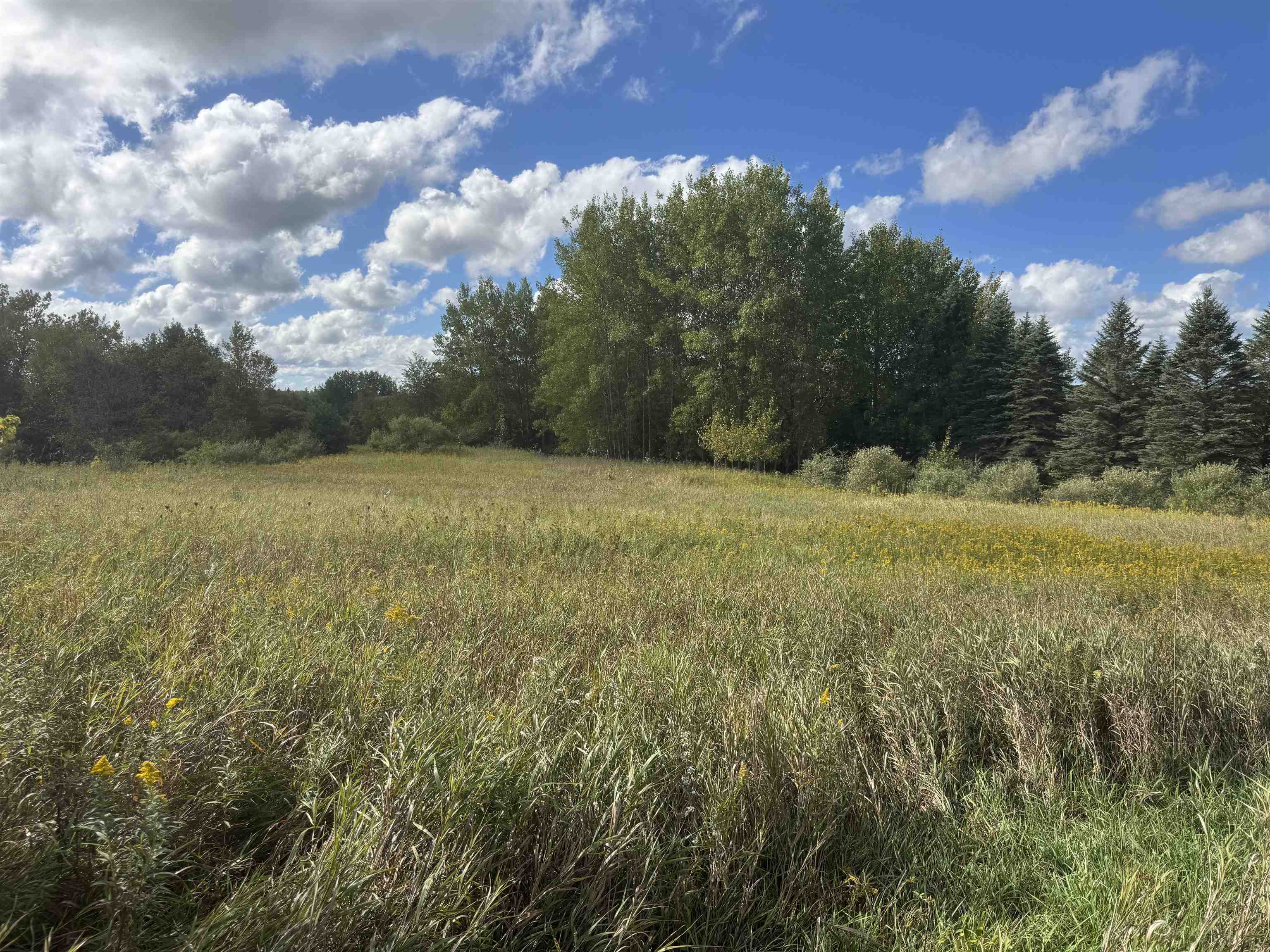Photo 3 of Land for sale at 0 Ora Lake Rd, Hale, MI 48739 | MLS# 77080074005 | Listing updated on 2026-10-07