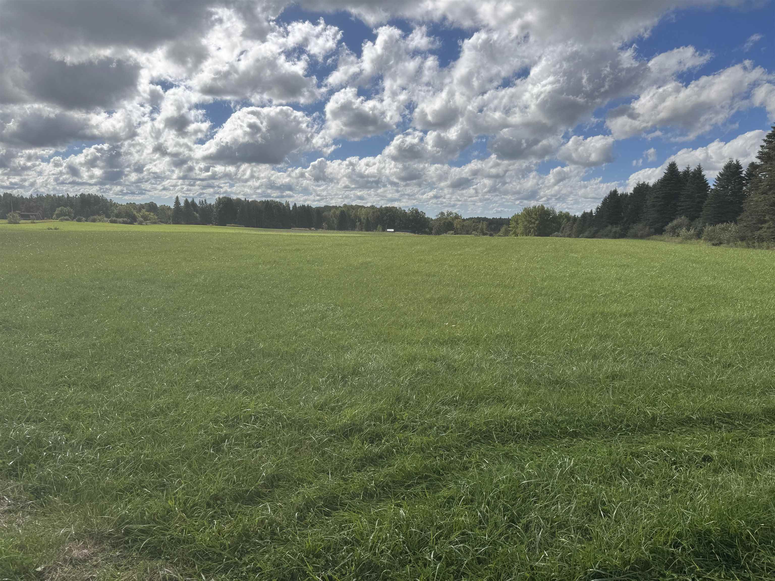 Photo 4 of Land for sale at 0 Ora Lake Rd, Hale, MI 48739 | MLS# 77080074005 | Listing updated on 2026-10-07