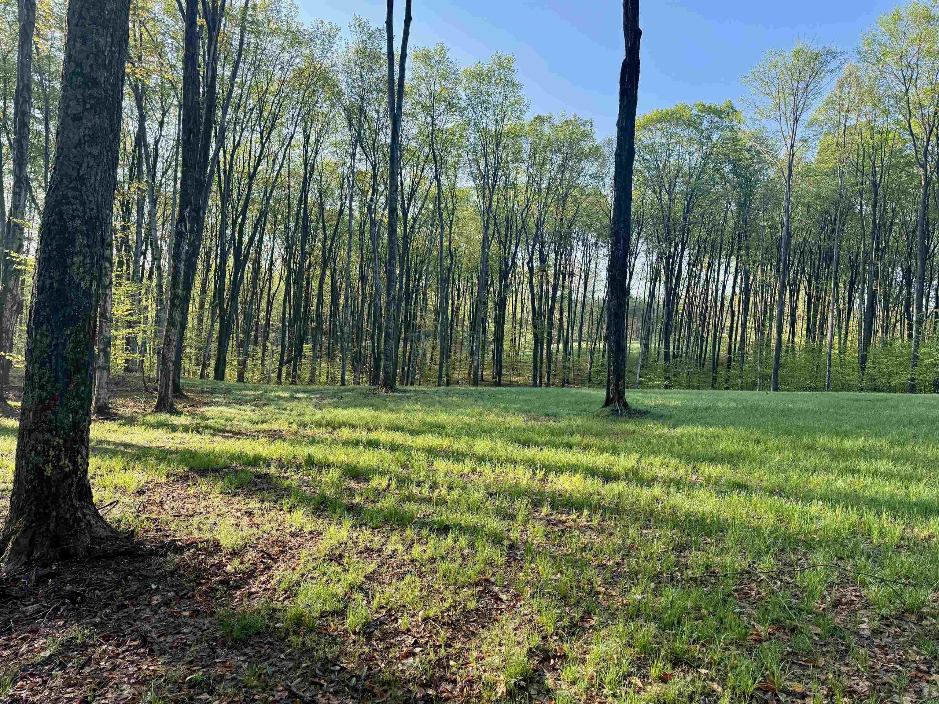 Photo 3 of Land for sale at 02 S Bright Rd, Maple City, MI 49664 | MLS# 78080074023 | Listing updated on 2026-10-02