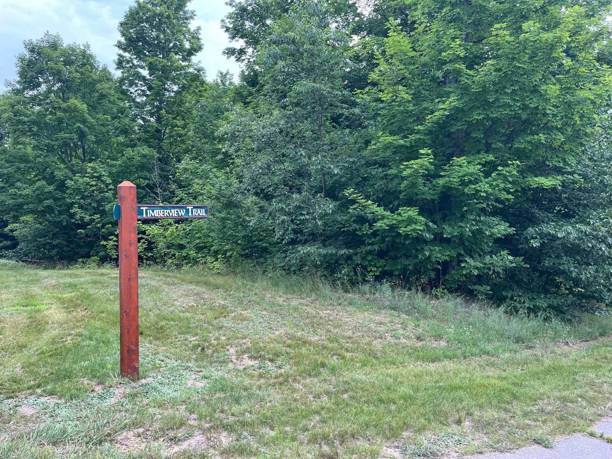 Photo 3 of Land for sale at 011 W Timber View Trl, Empire Township Leelanau, MI 49630 | MLS# 78080074047 | Listing updated on 2026-10-03