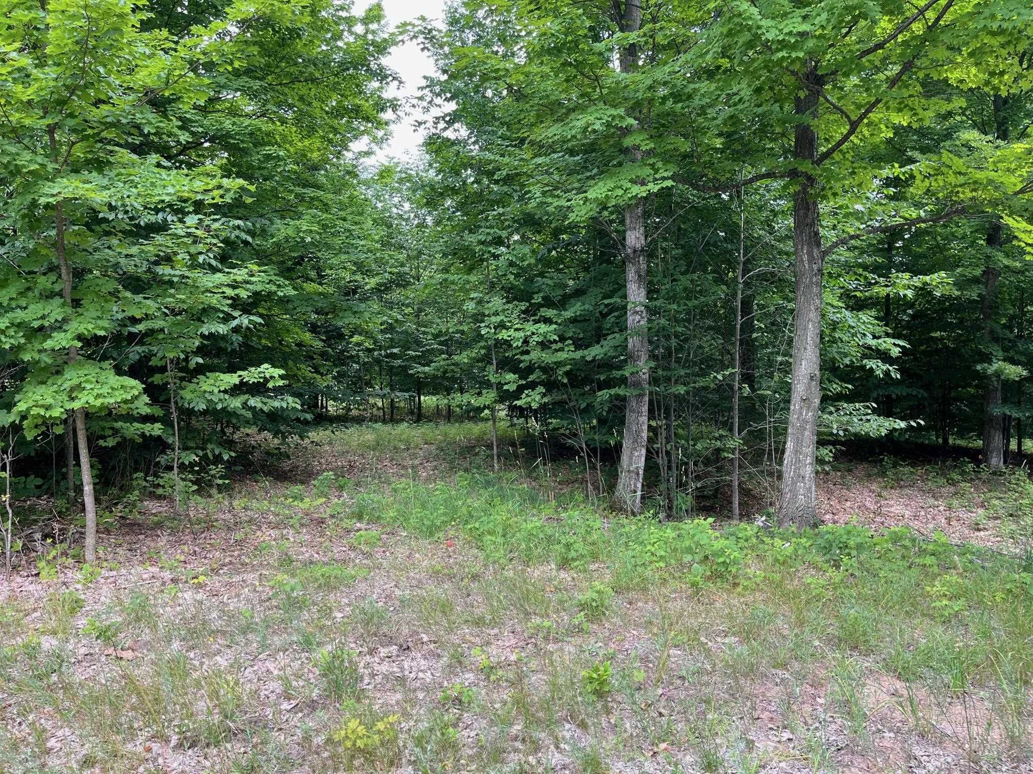 Photo 4 of Land for sale at 011 W Timber View Trl, Empire Township Leelanau, MI 49630 | MLS# 78080074047 | Listing updated on 2026-10-03