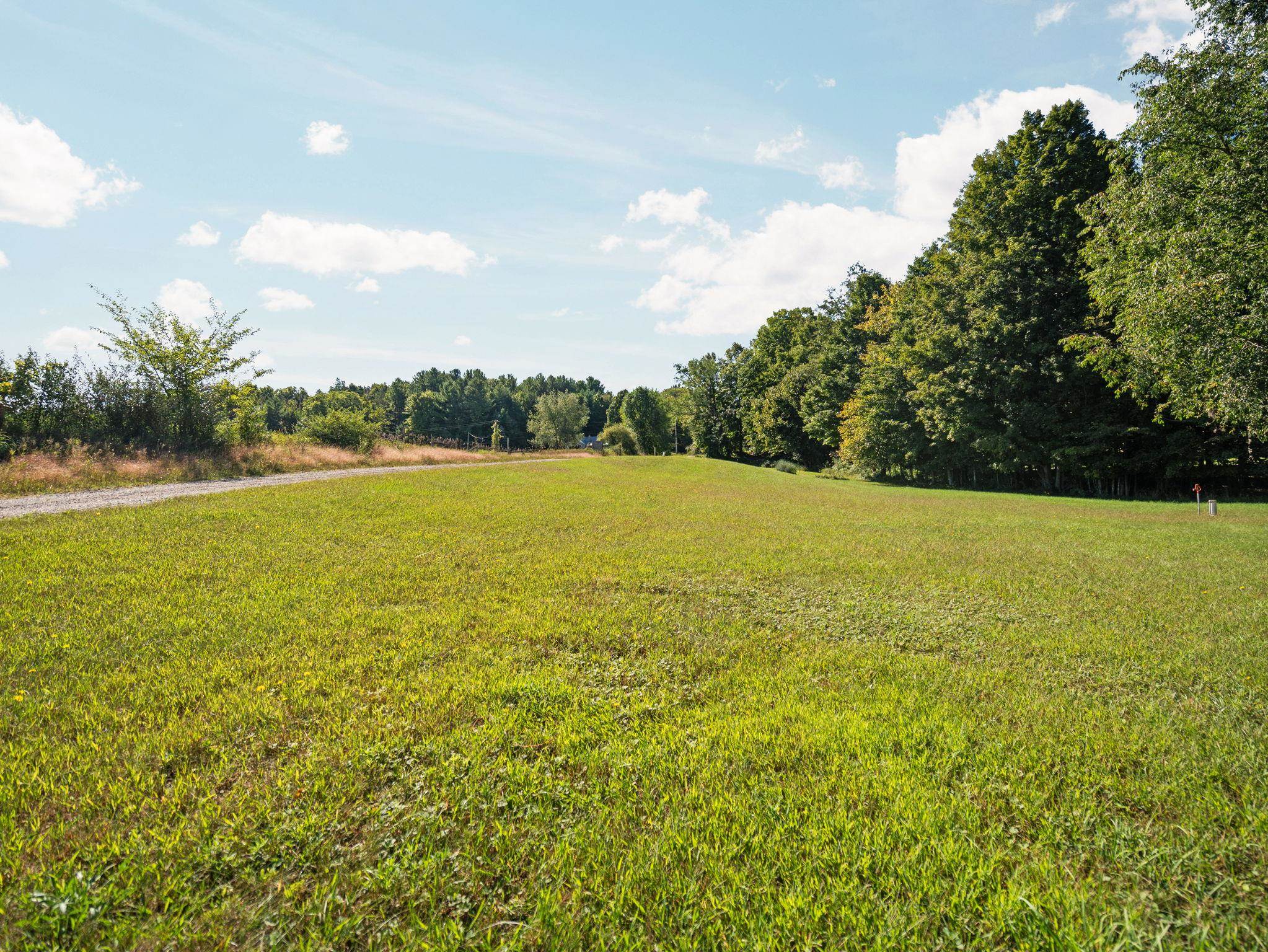 Photo 3 of Single family home for sale at 8157 Crisp Rd, Williamsburg, MI 49690 | MLS# 78080074065 | Listing updated on 2026-10-03