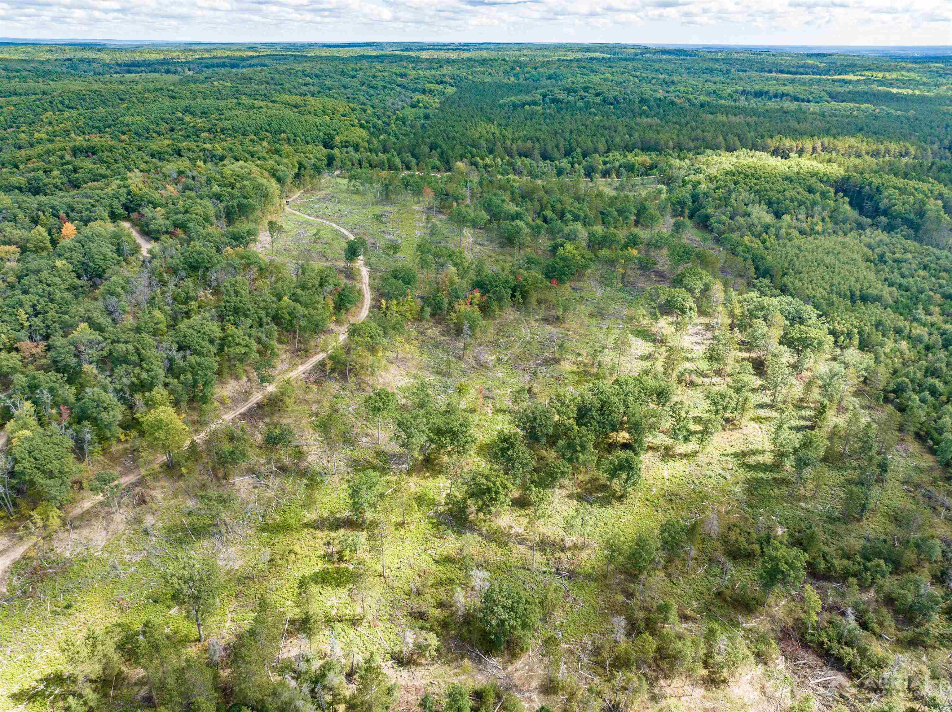 Photo 3 of Land for sale at 0 Pointer Rd, West Branch, MI 48661 | MLS# 77080074069 | Listing updated on 2026-10-03