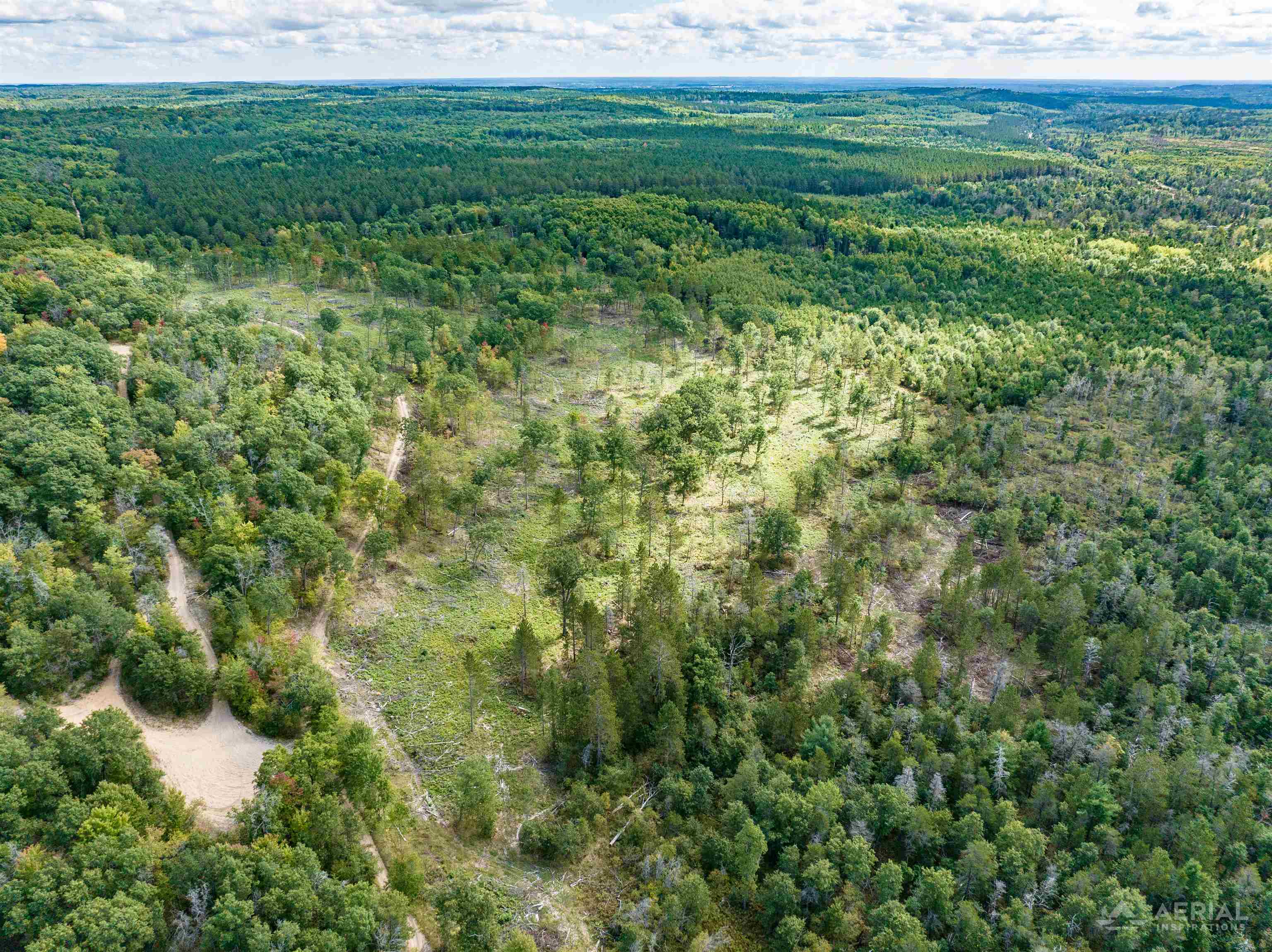 Photo 4 of Land for sale at 0 Pointer Rd, West Branch, MI 48661 | MLS# 77080074069 | Listing updated on 2026-10-03